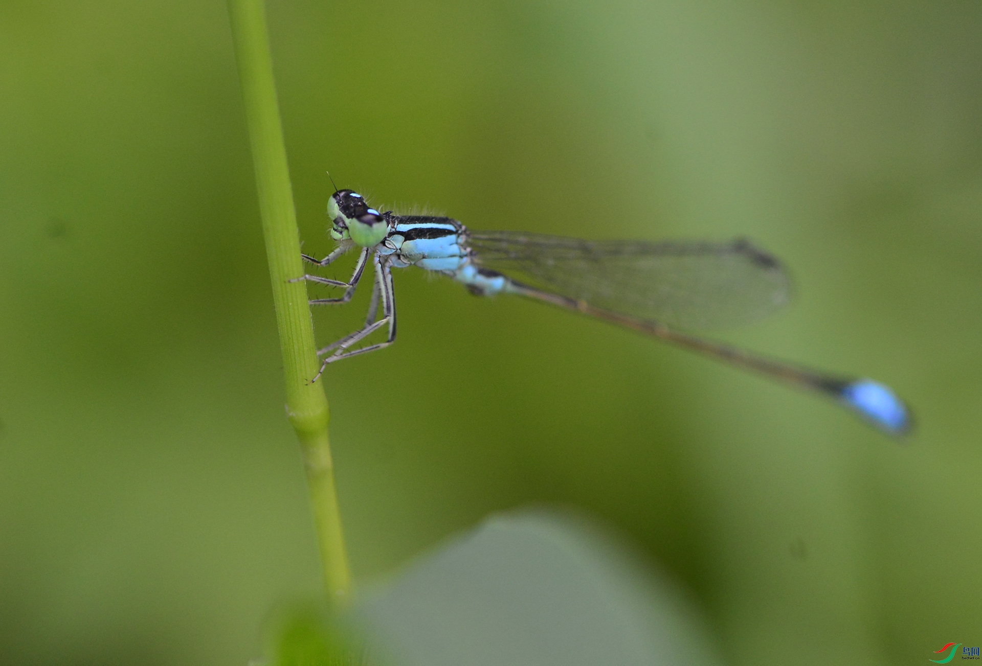 ������Ӱ 4899����.jpg