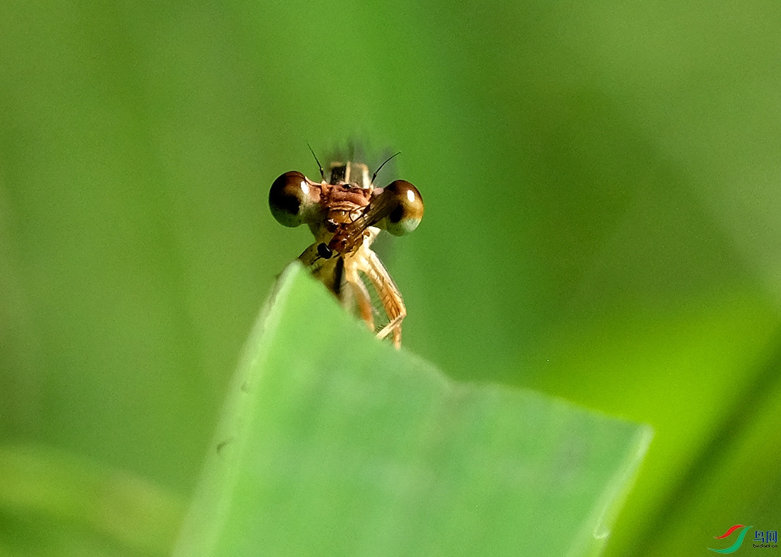 DSCF7172.JPG