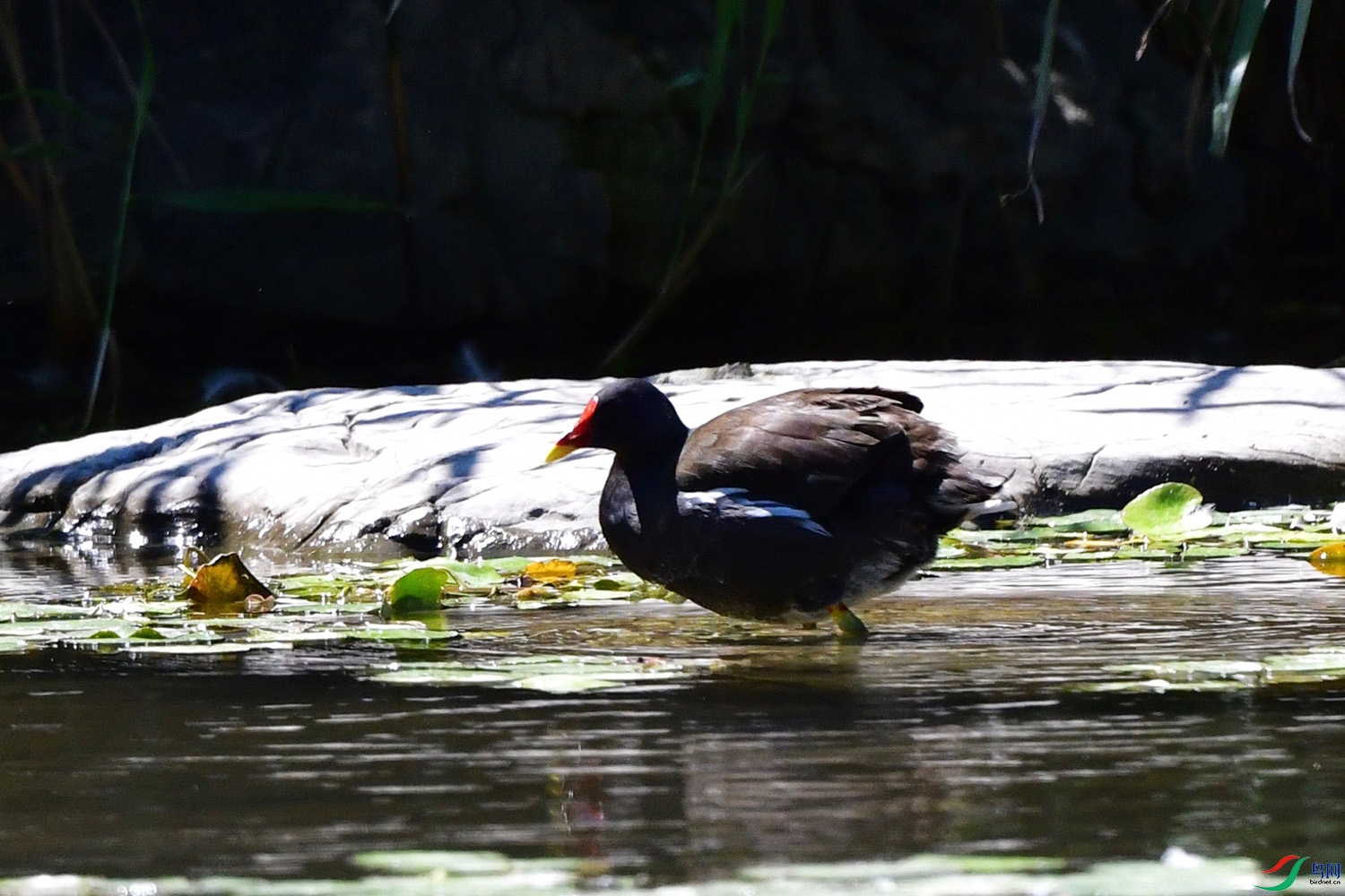 DSC_0140.jpg
