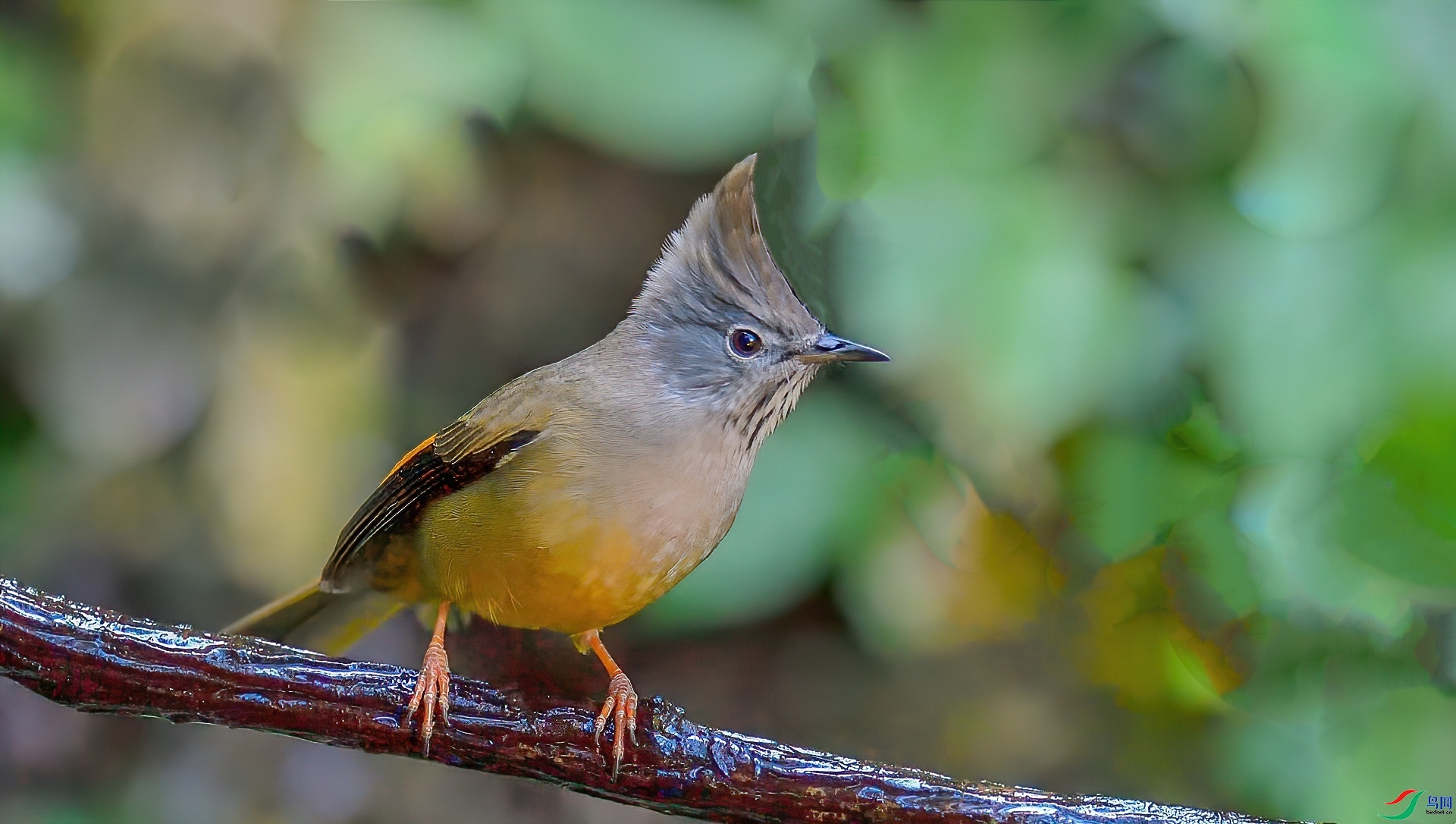 ������  ��ʦ����������ʡ��ɽ���ڳ���.jpg