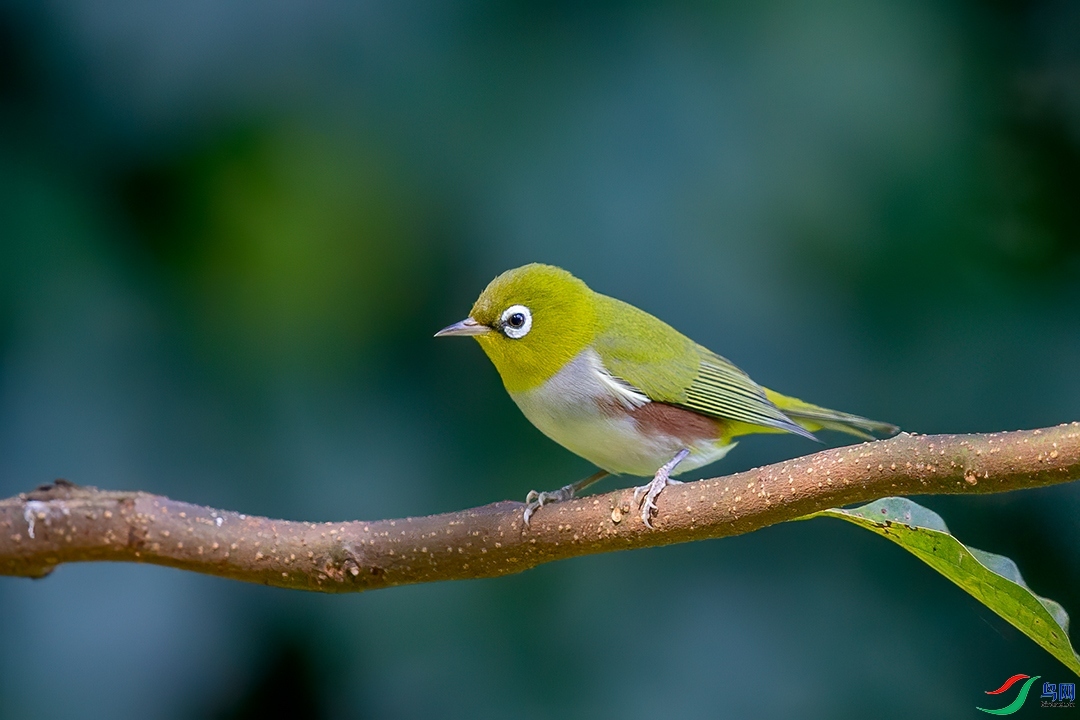 �������� ��ʦ����������ʡ������.jpg