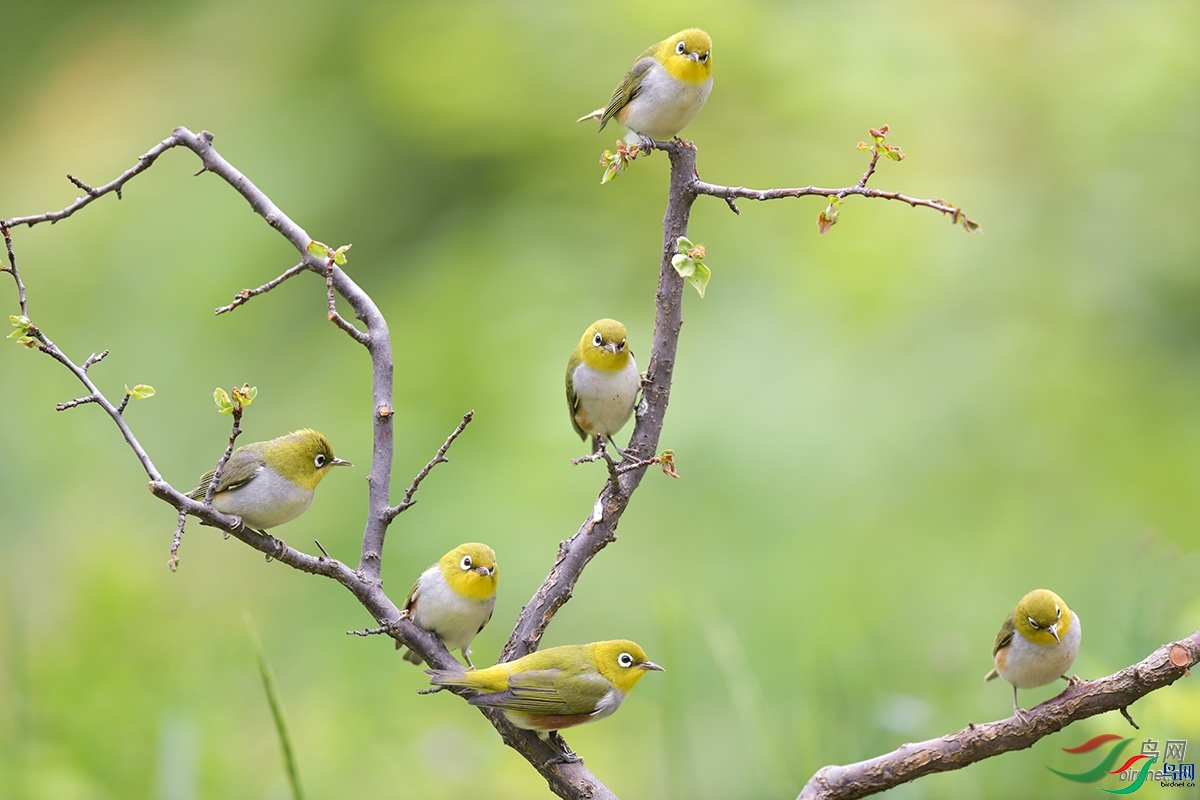 ɽˮ����Ȥ  ��ʦ������ɽ��ʡ������.jpg