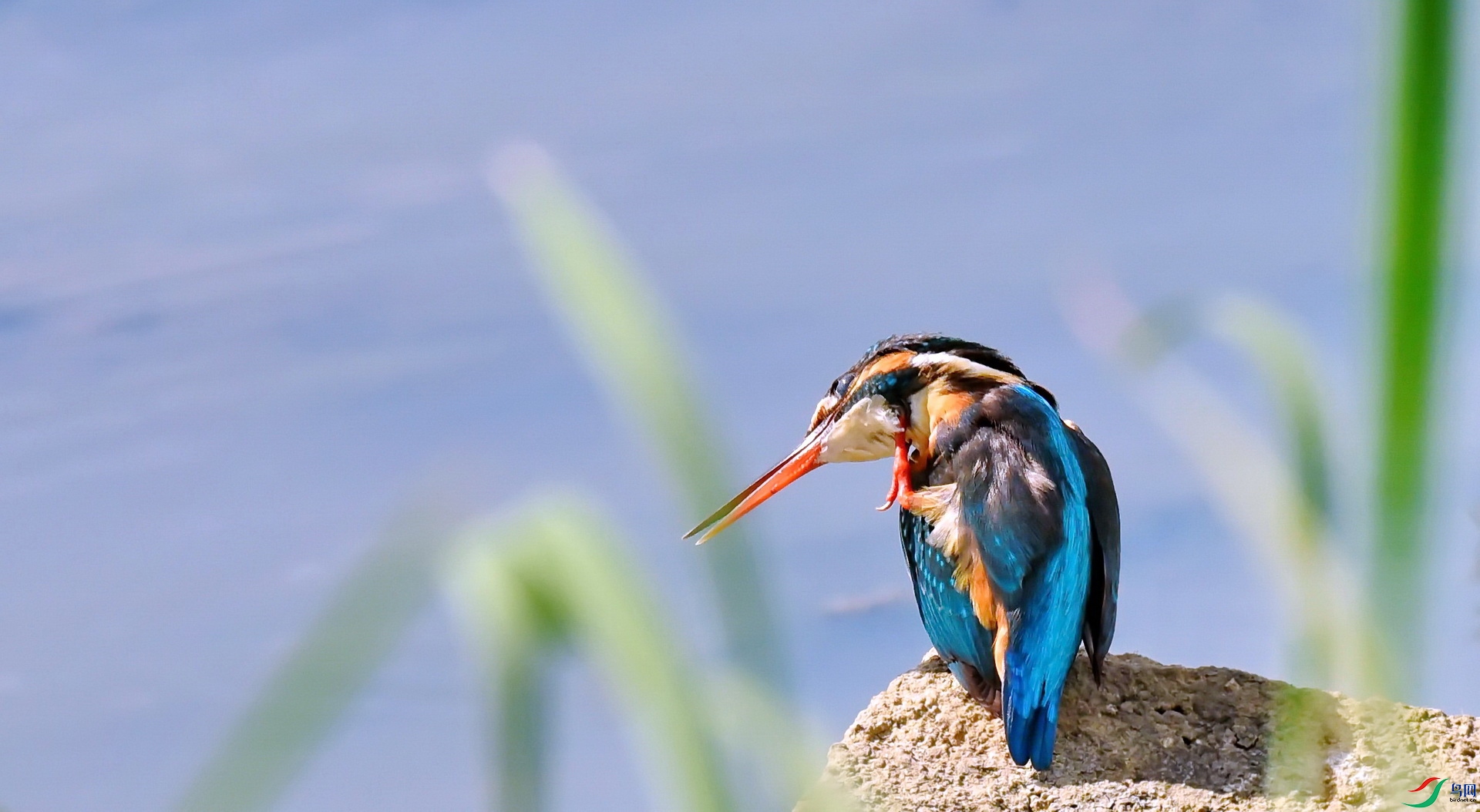 DSC_5778a.jpg