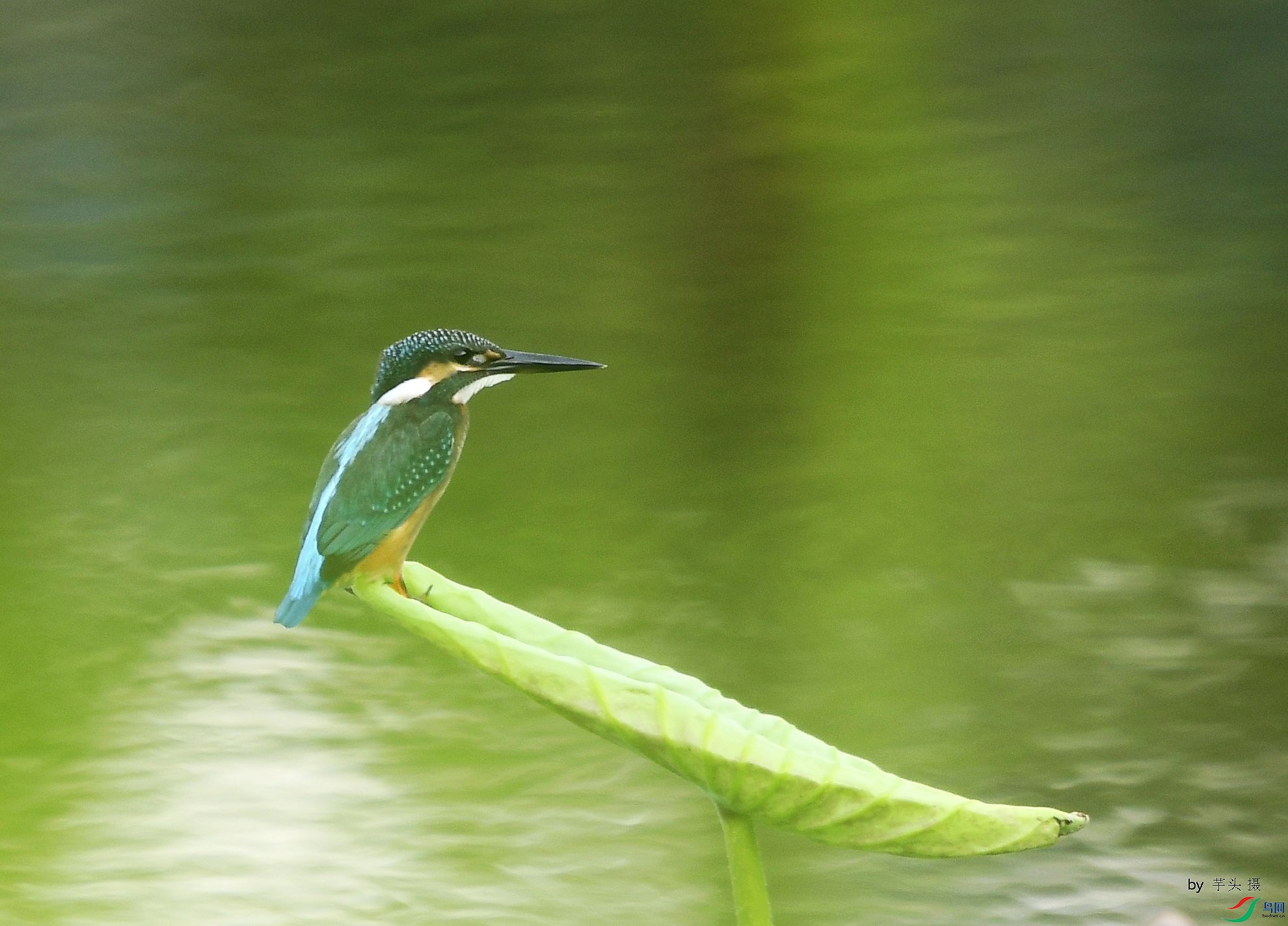 _D5D0641.jpg