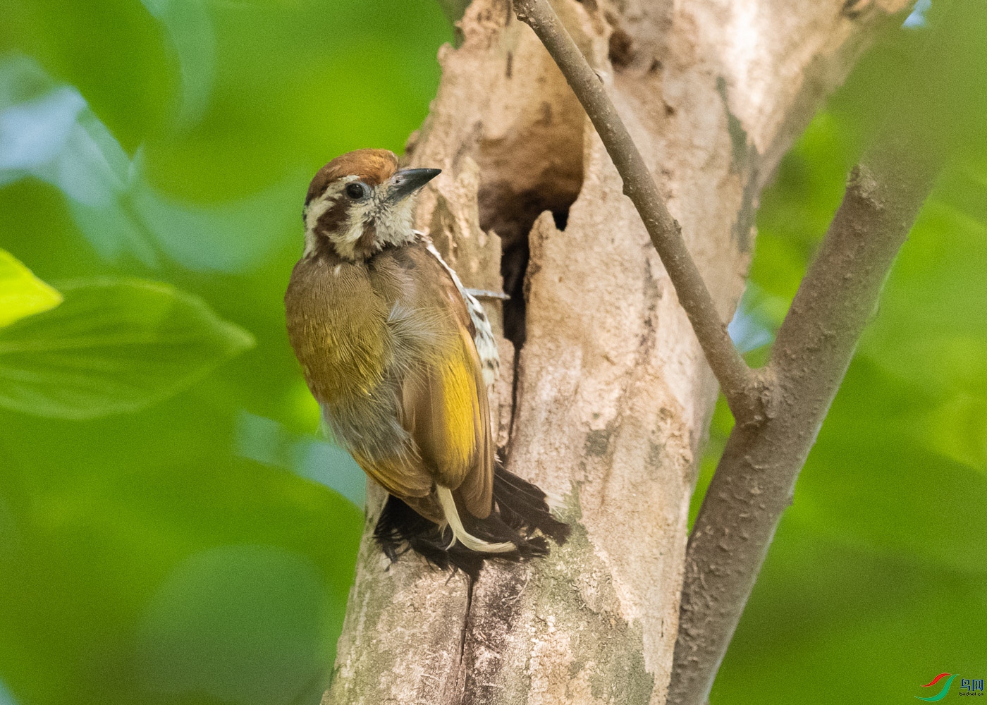 DSC_6839.jpg