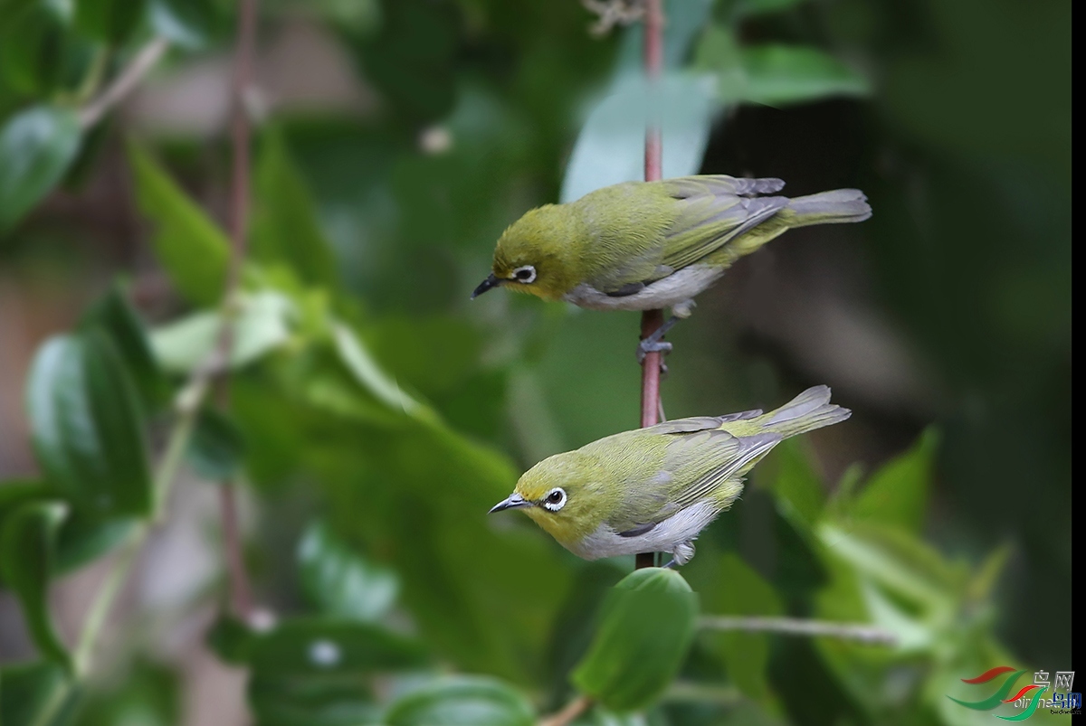 ���� ��ʦ������.jpg