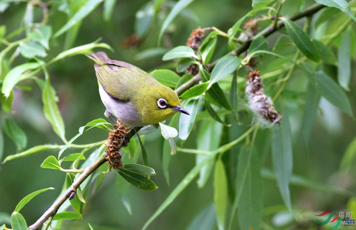 С�´���  ��ʦ������.jpg