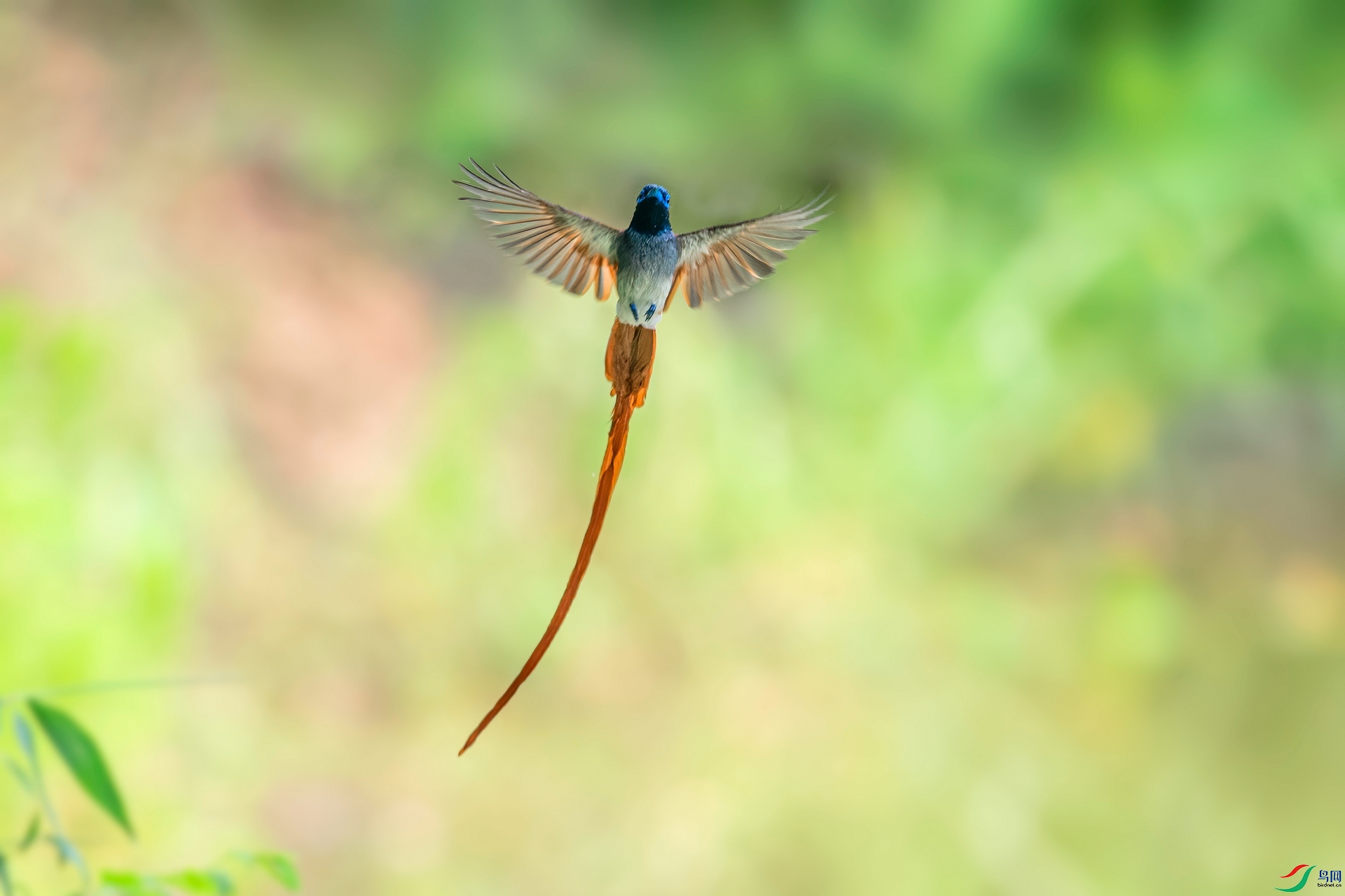 ��ƬDSC_0465.jpg