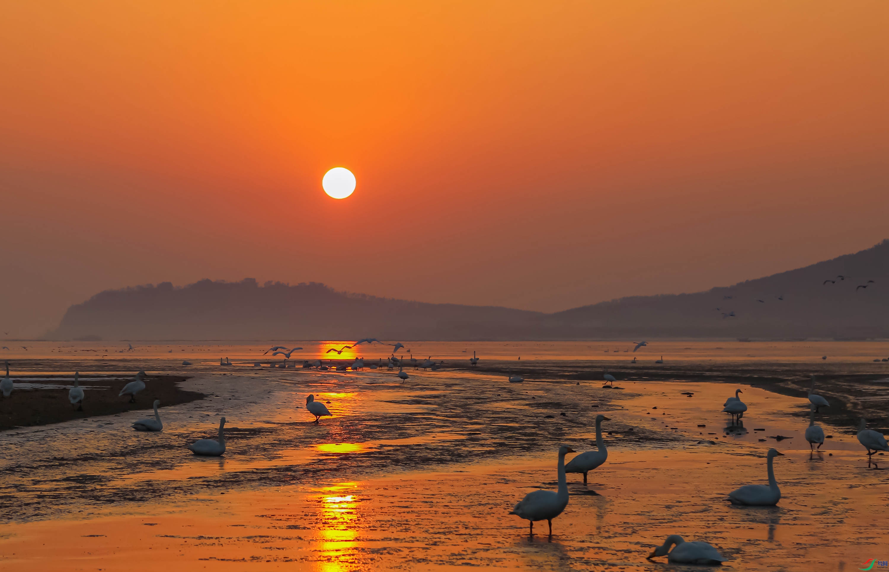 红海湾日出图片