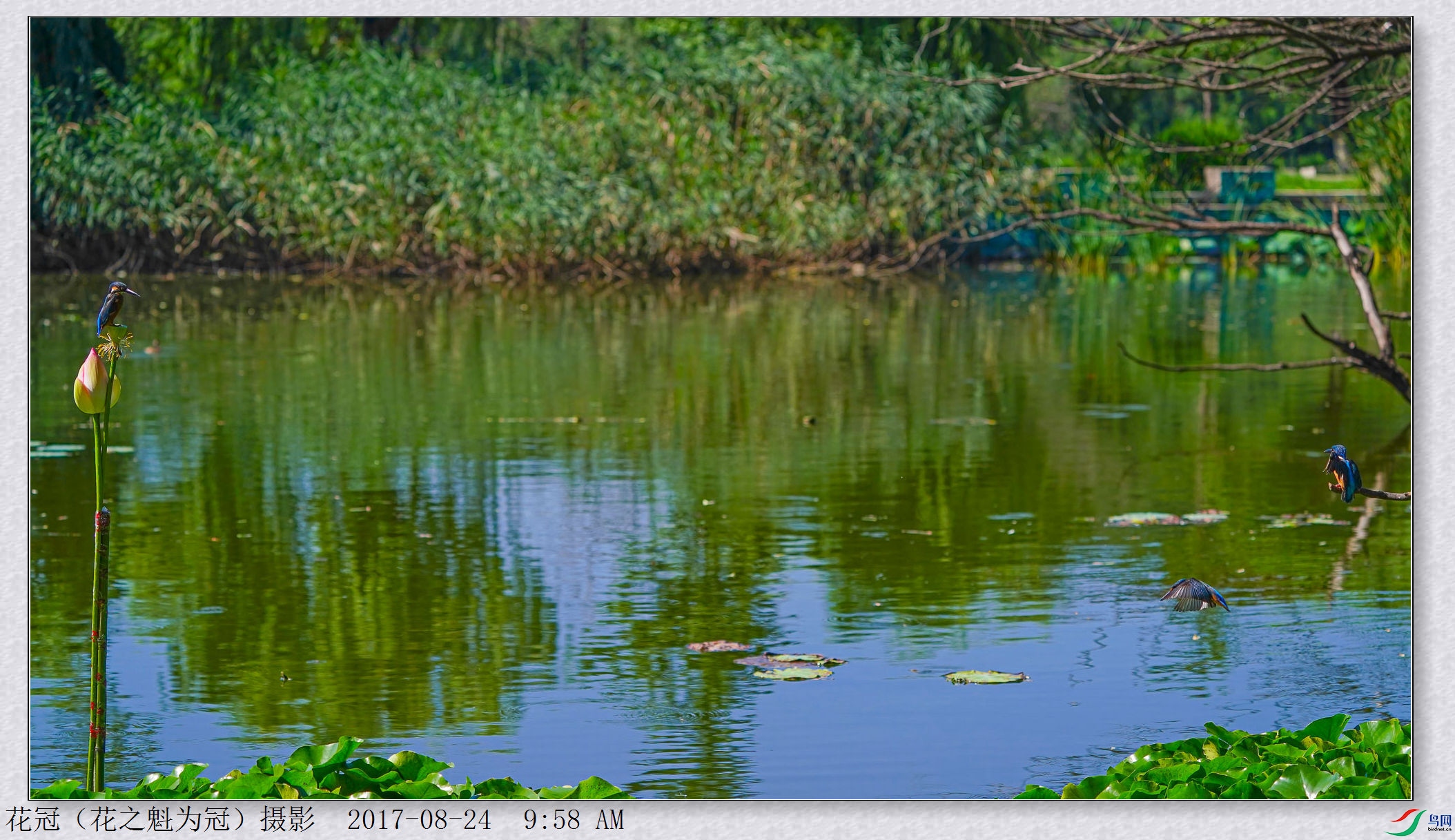 DSC00708A-DeNoiseAI-low-lightB-2_����.jpg