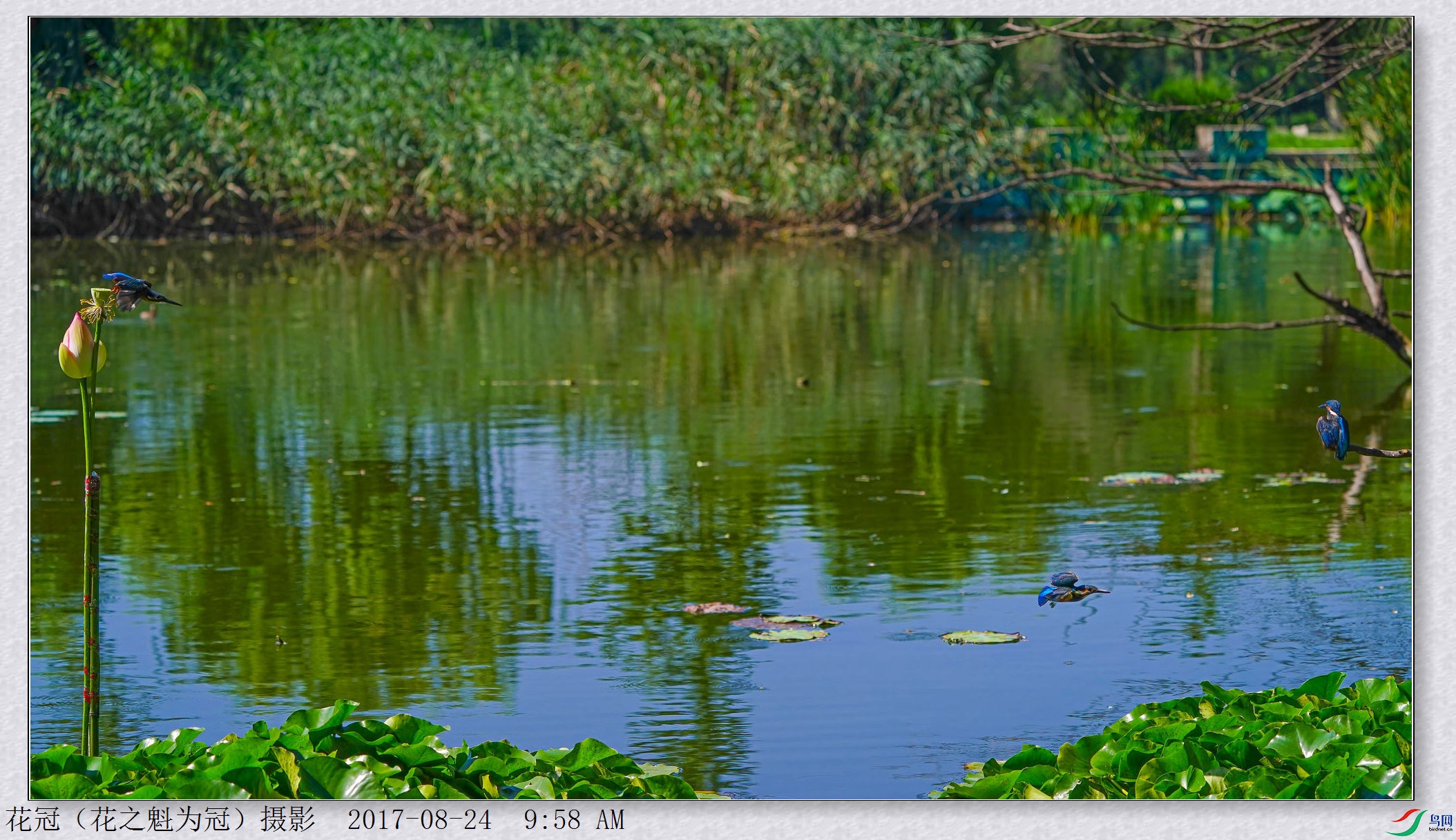DSC00709A-DeNoiseAI-low-lightB-2_����.jpg