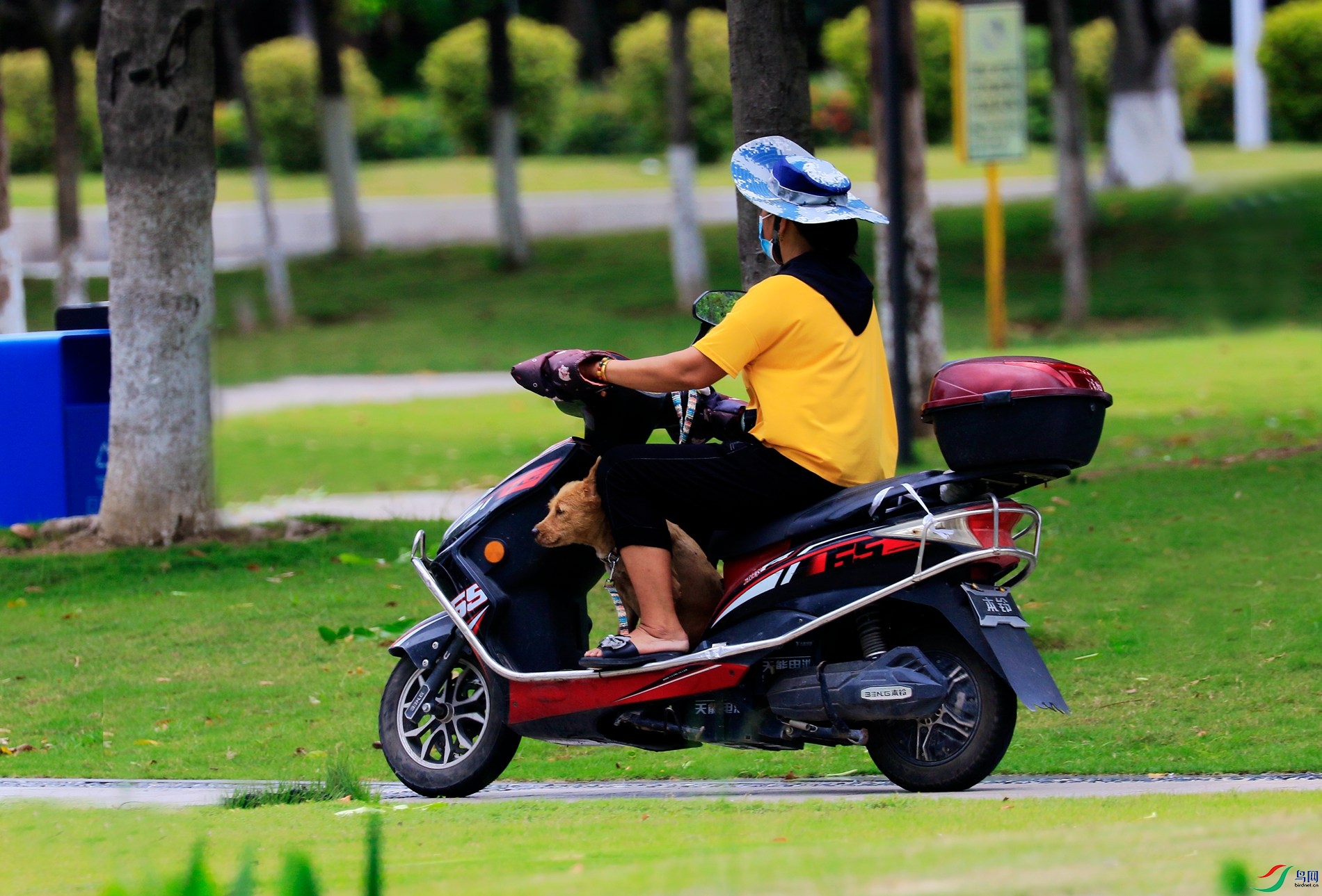 ���Ź����乫԰