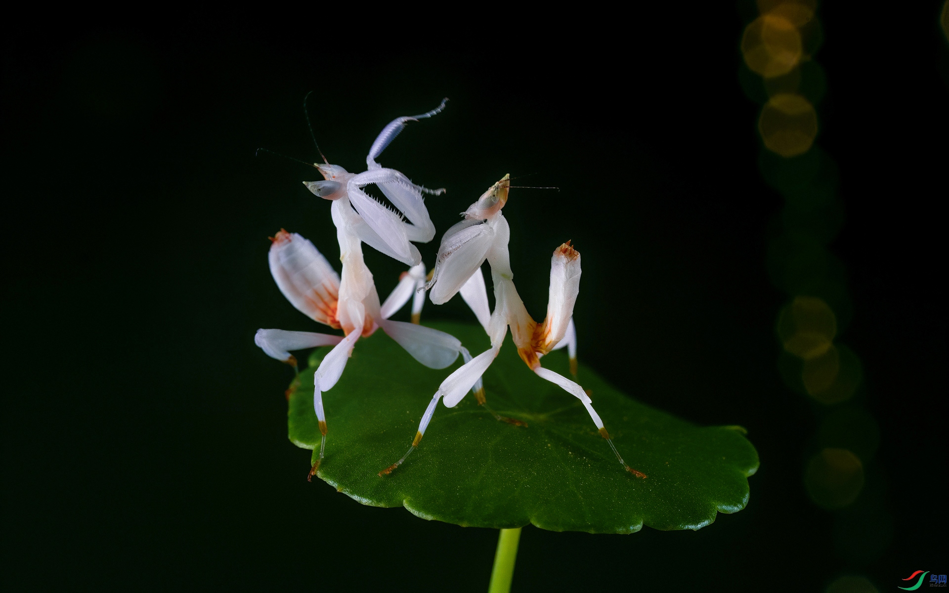 DSC09358-8-30.jpg
