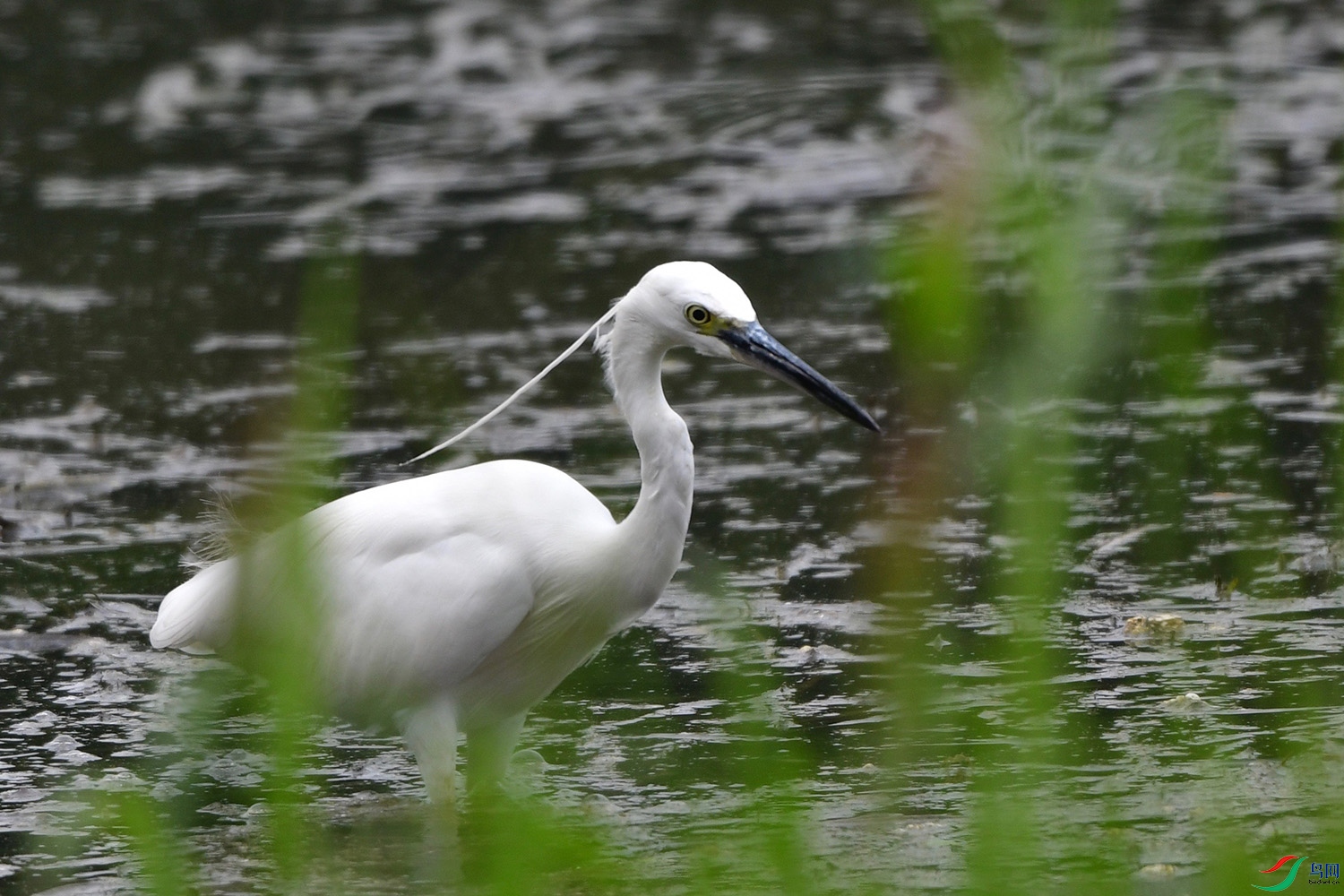 DSC_1694.jpg