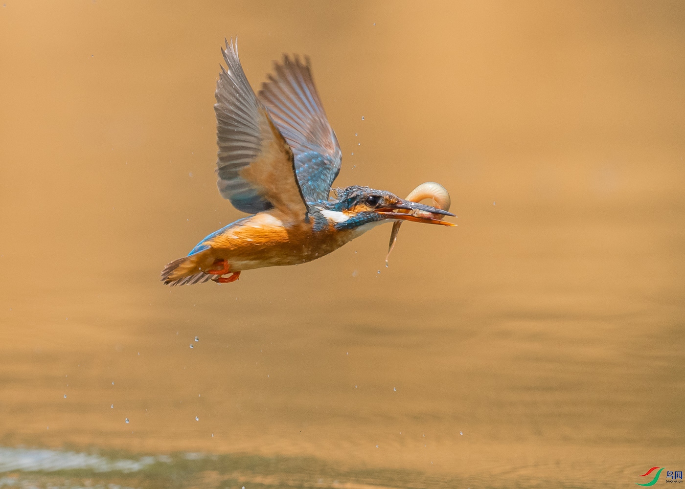 DSC_6210��.jpg