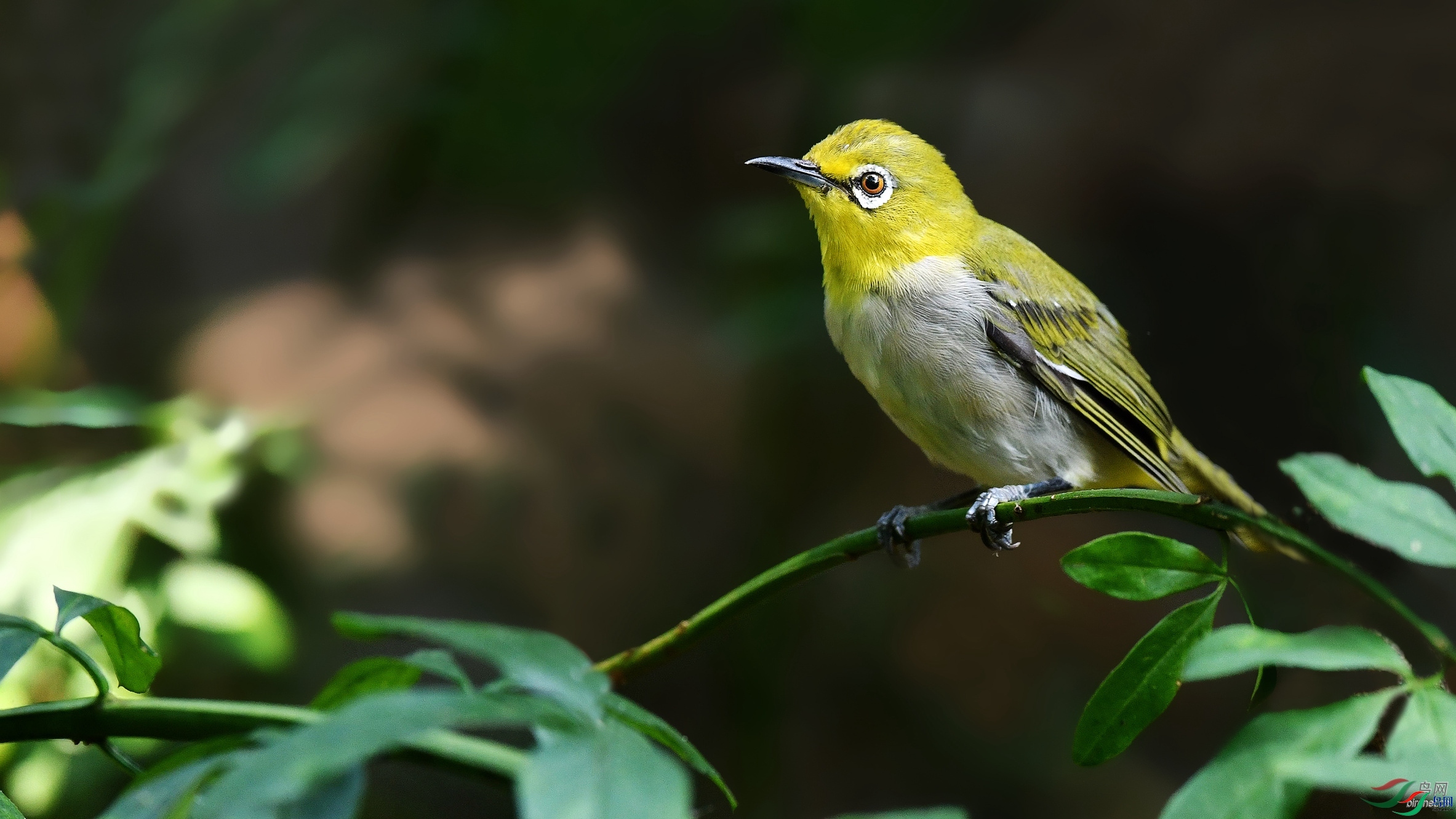 �Ϲ���Ӱ  ��ʦ�������Ĵ�ʡ������.jpg