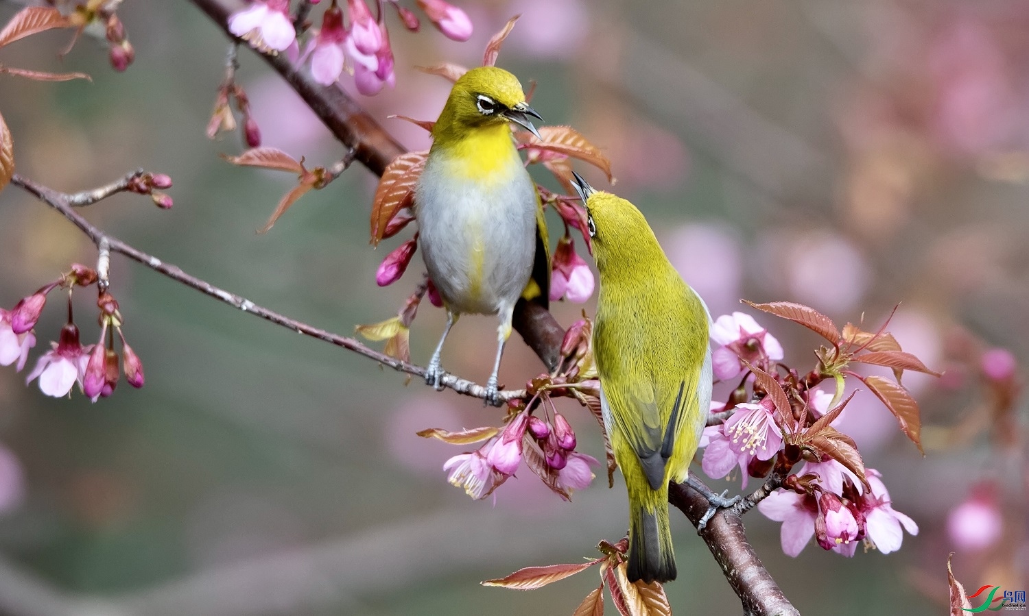 Ц������0919  ��ʦ�����ڹ���ʡ������0.jpg