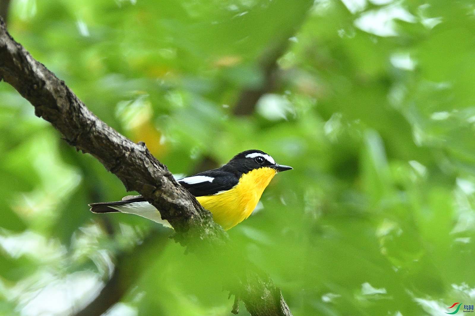 DSC_8586.JPG