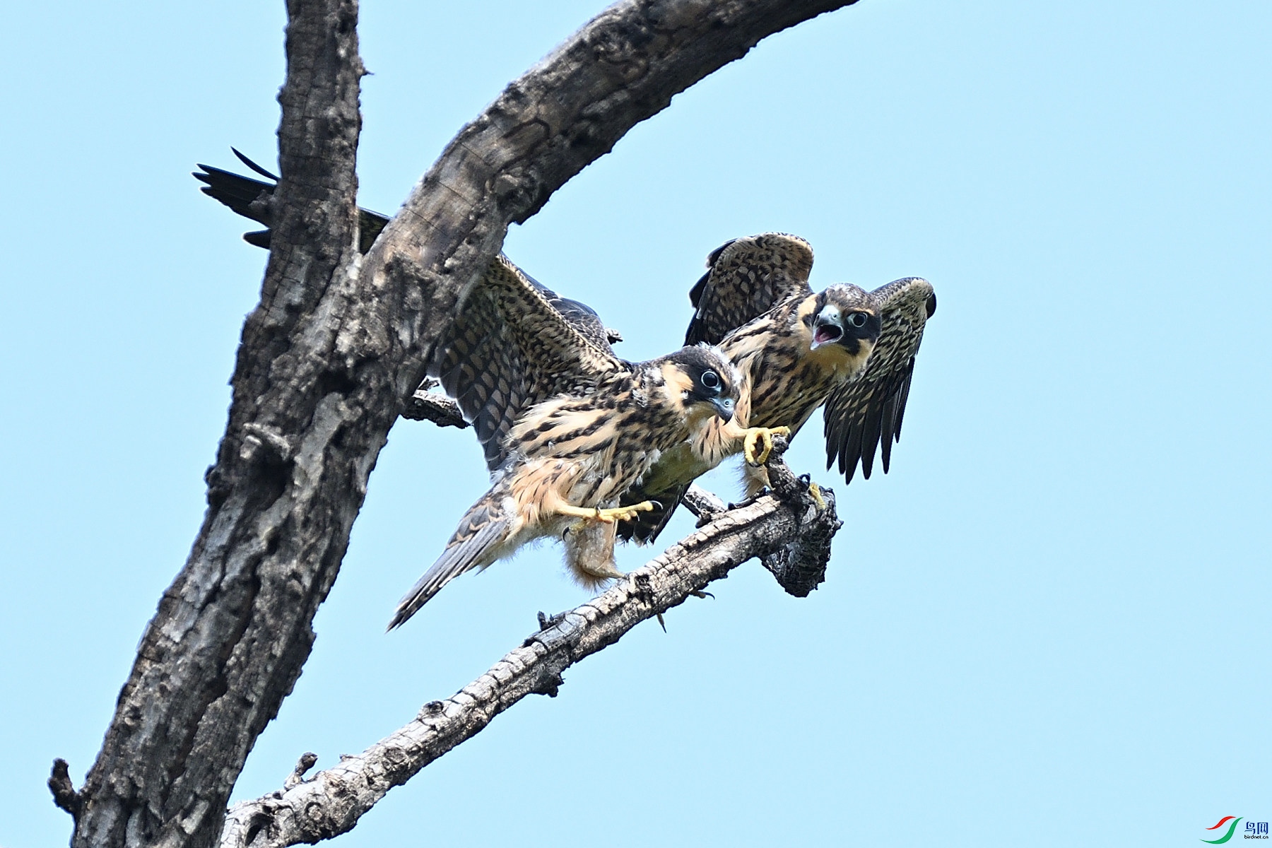 DSC_4768.JPG