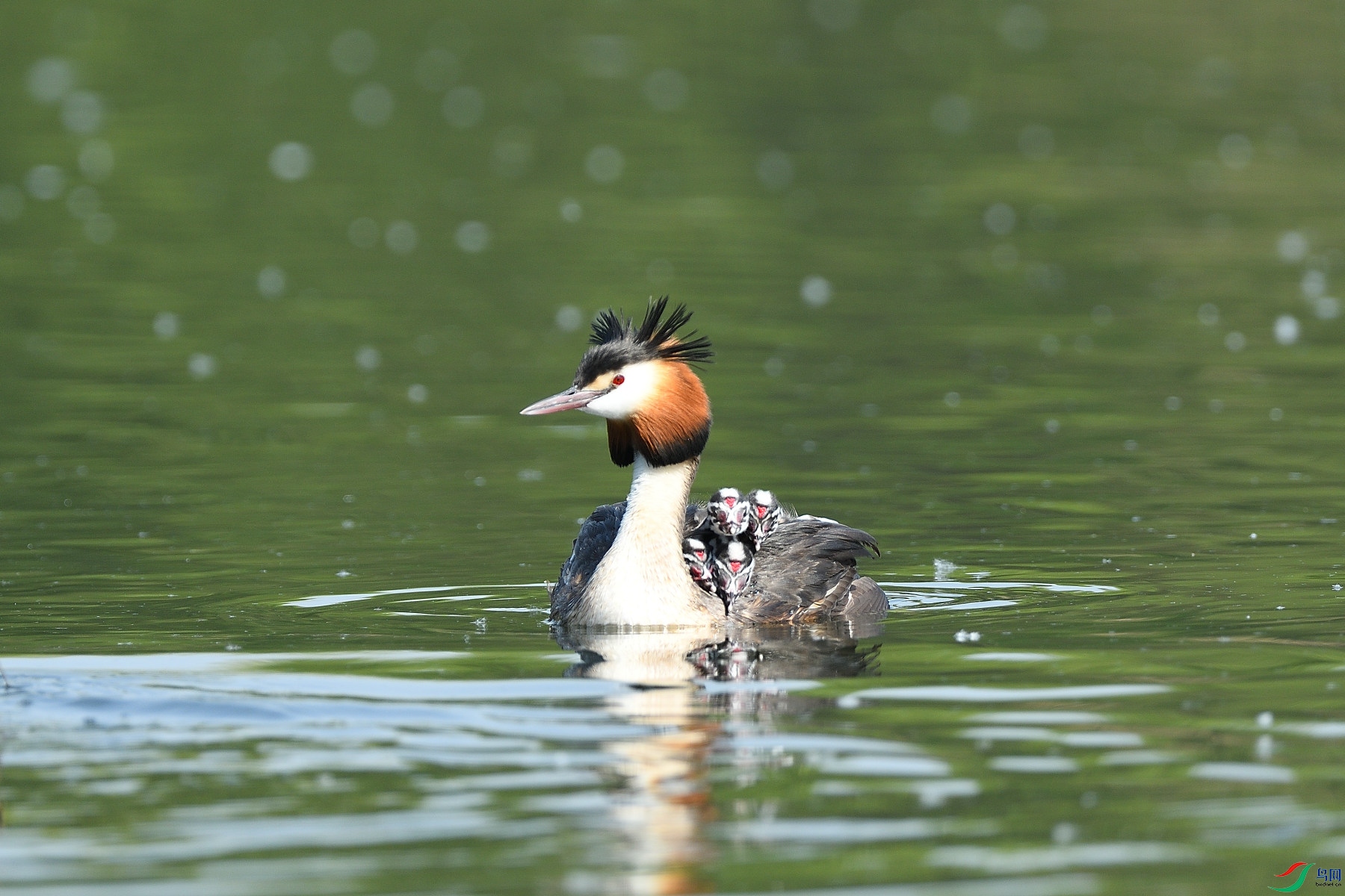 DSC_6149.JPG