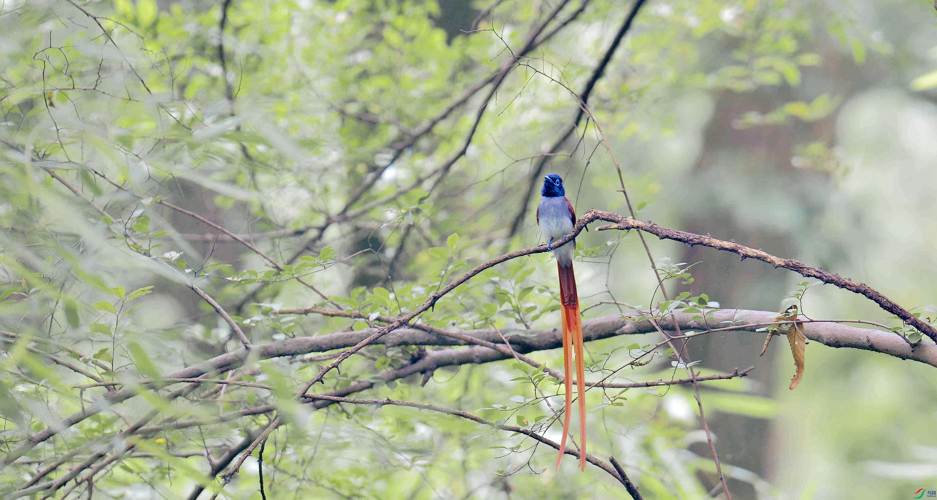 DSC_1122_����.jpg