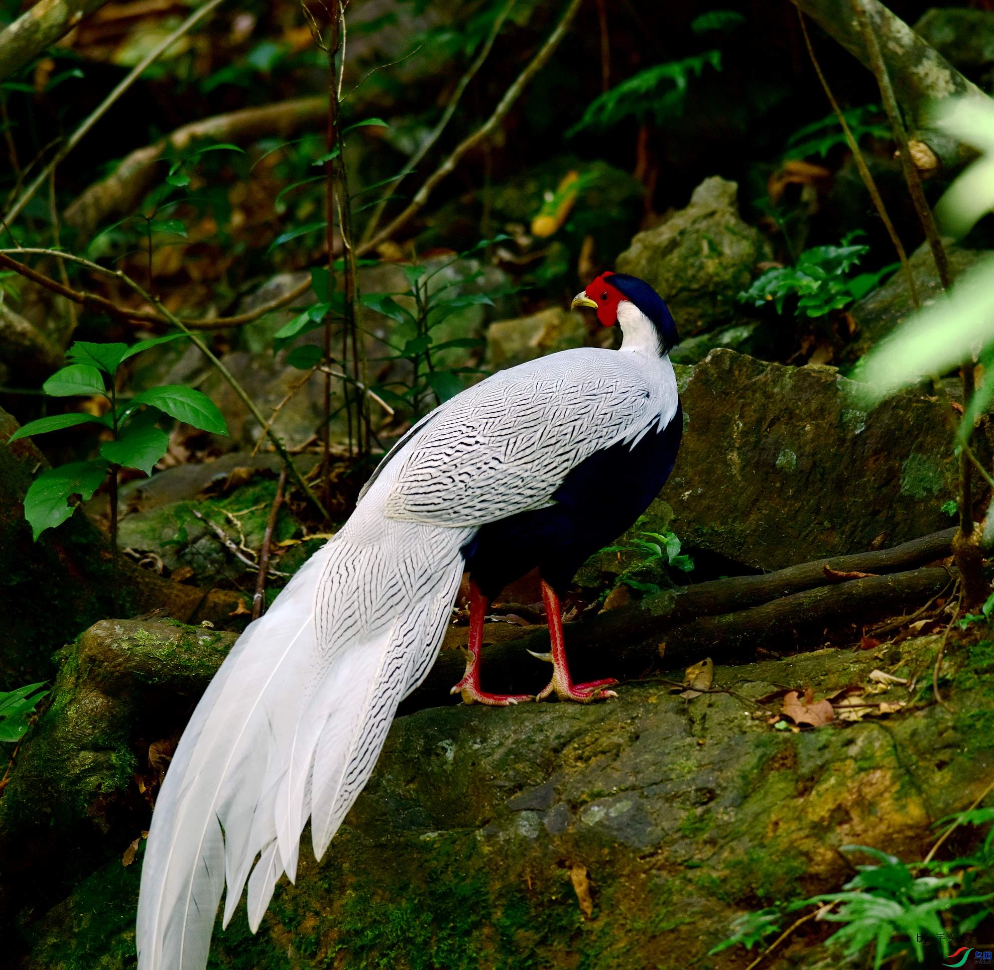 D8I_3000.jpg