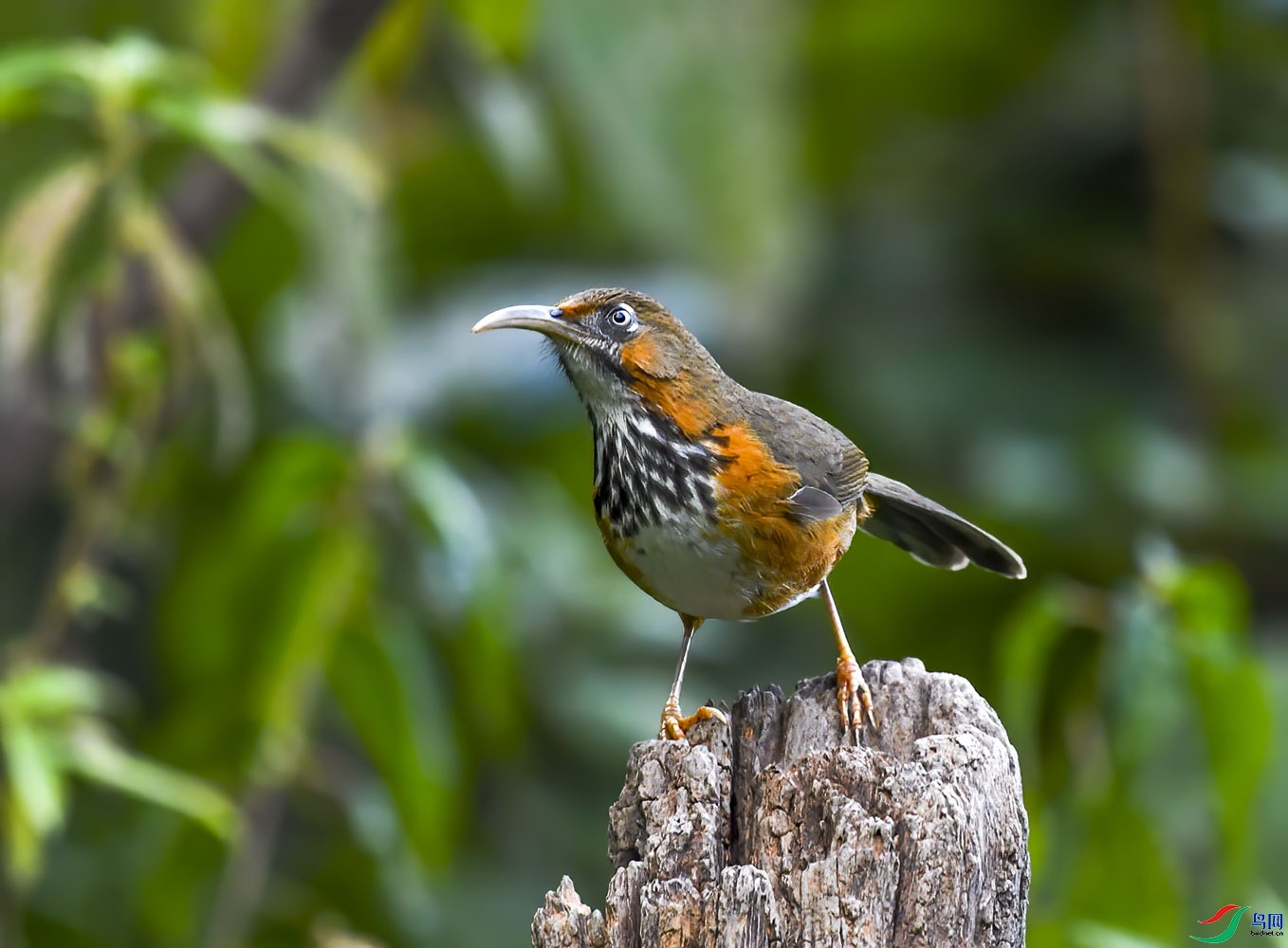 ����  ��ʦ����������ʡ��ɽ��.jpg