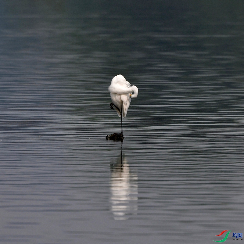DSC_0765.jpg