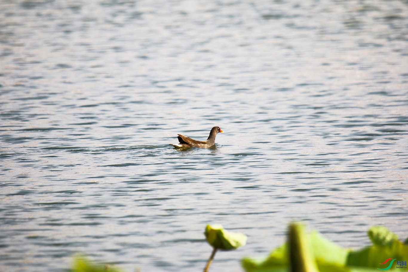 IMG_6912.jpg