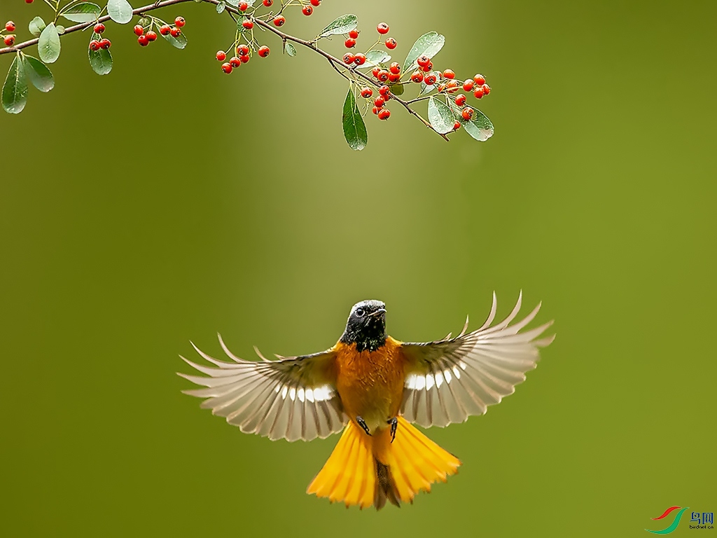 7728-2.jpg