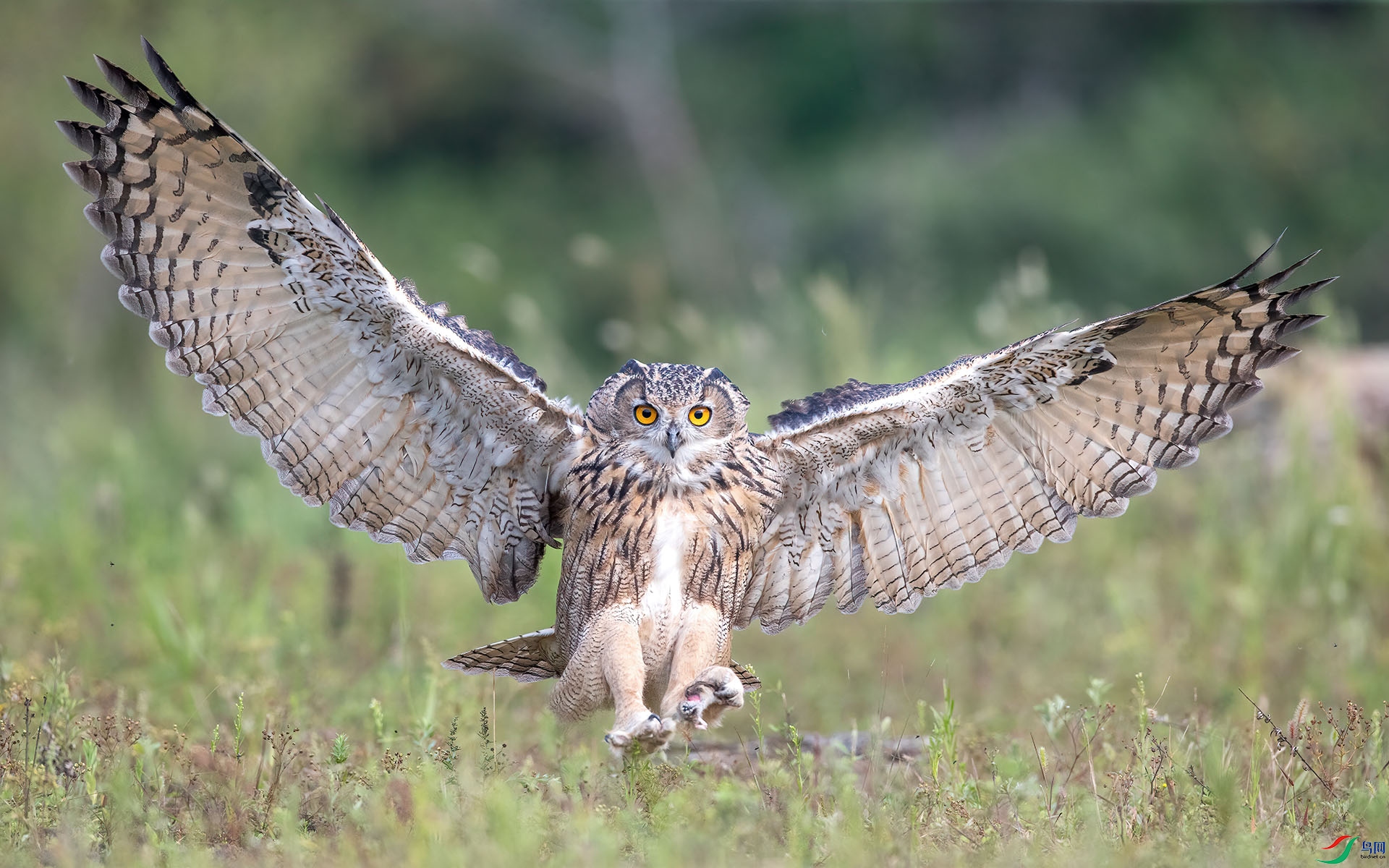1DX_9120 ���� 2.jpg