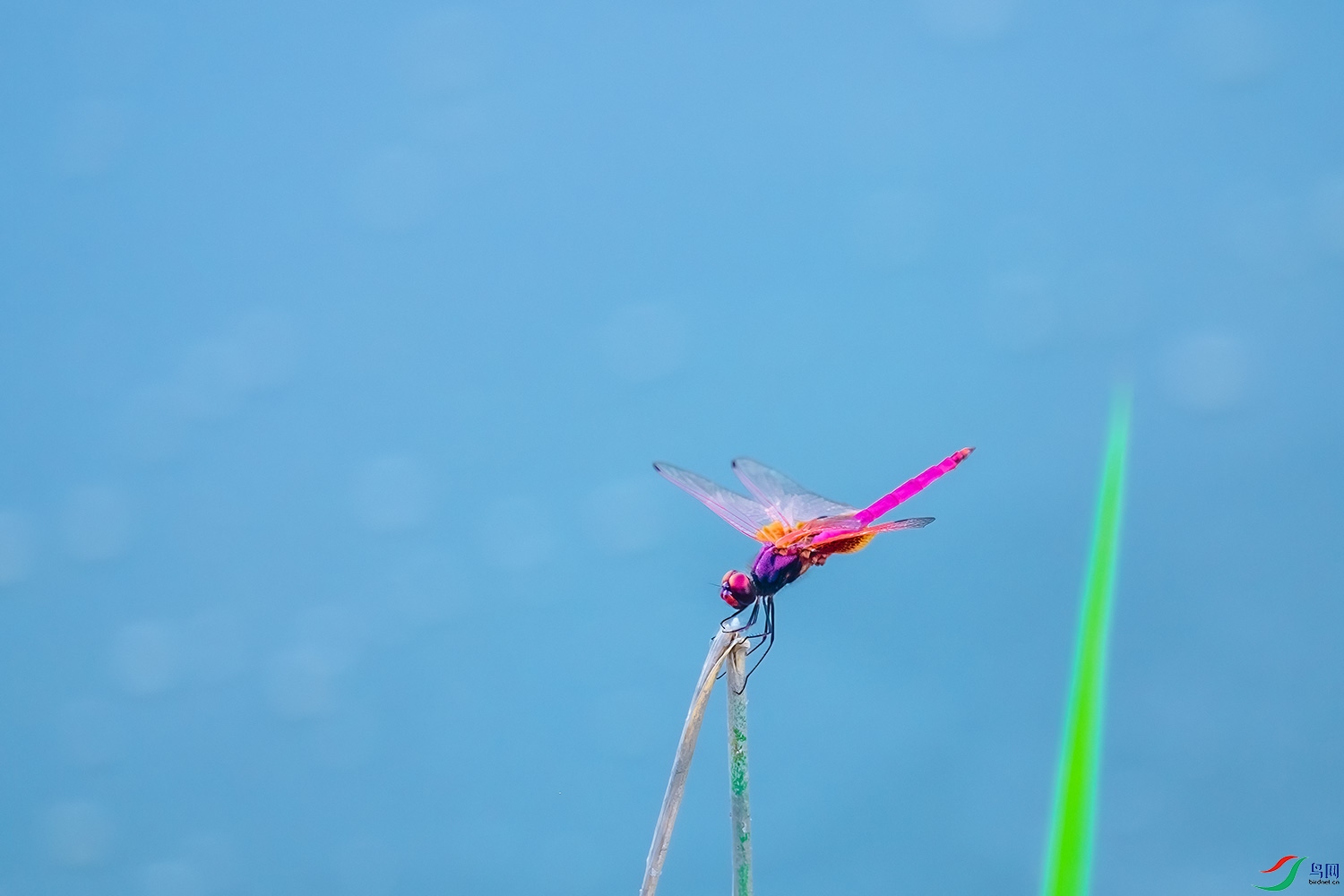 DSCF0126-2.jpg
