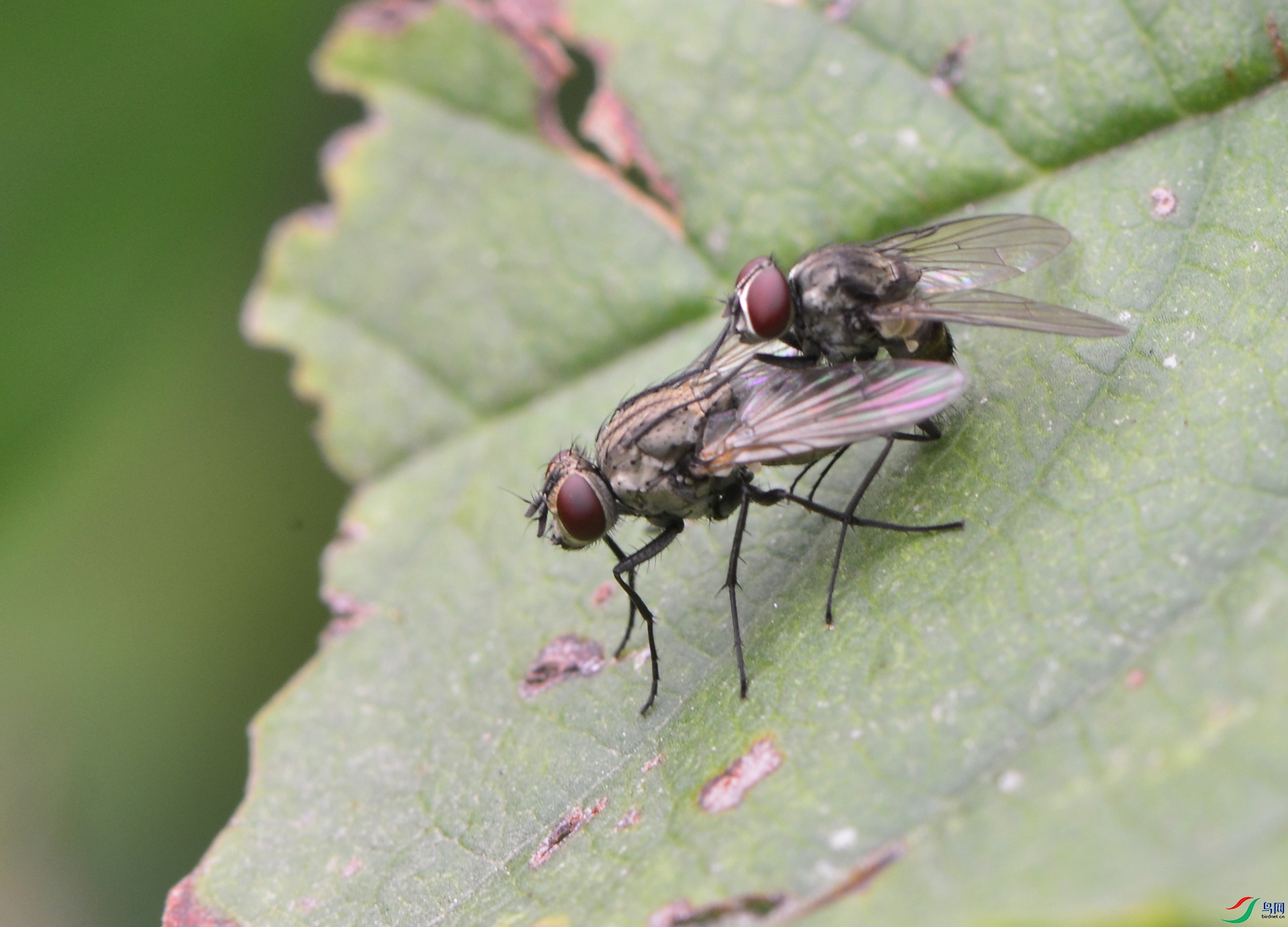 ������Ӱ 1320����.jpg