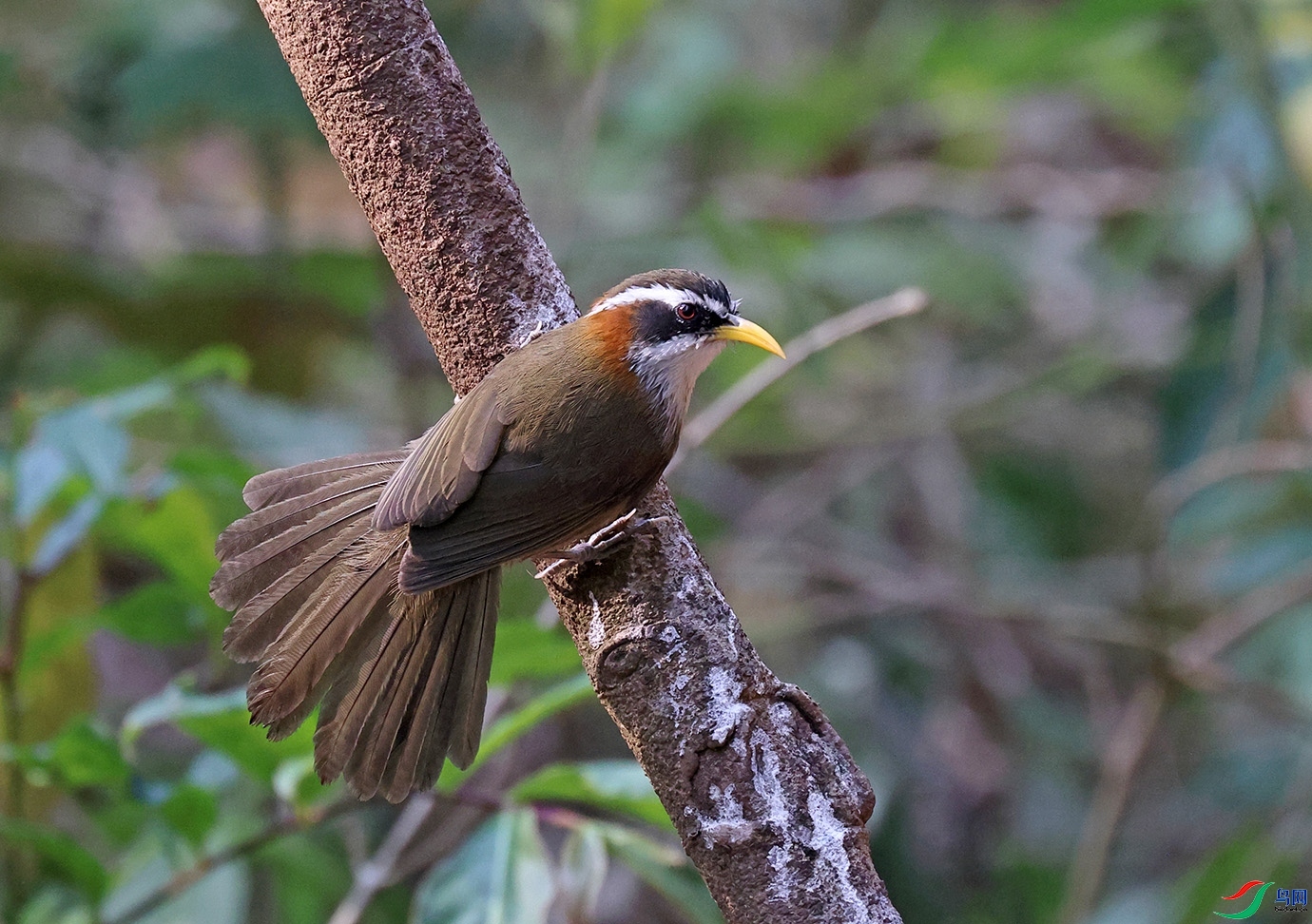 �ඡ����  ��ʦ����������ʡ�º���徰����������ӯ����.jpg