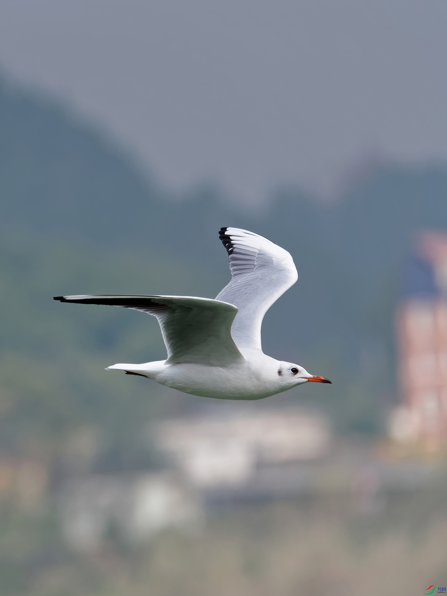 P1054023_DxO-d2.jpg