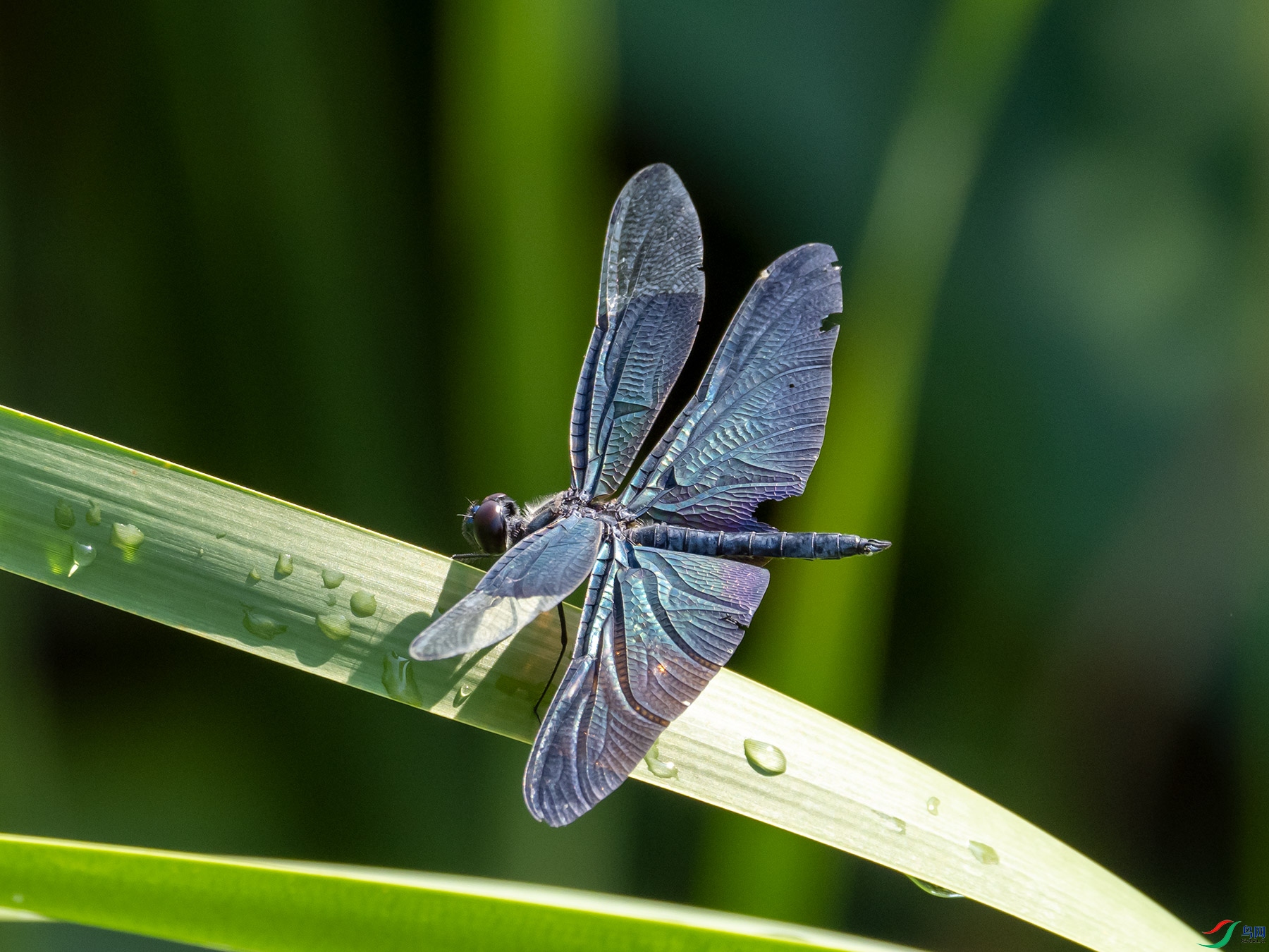 �\������