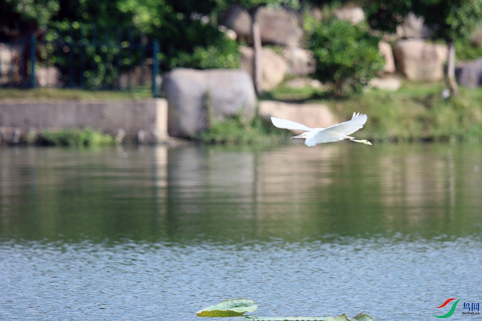 IMG_6891.jpg