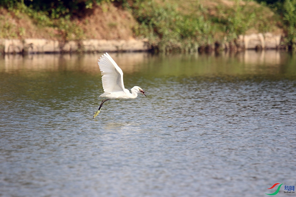 IMG_6986.jpg