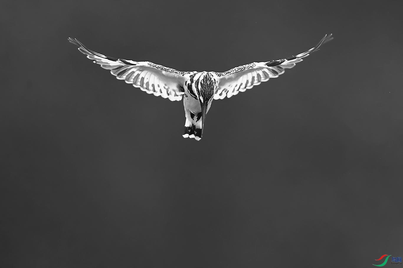 DSC_5028_DxOa.jpg