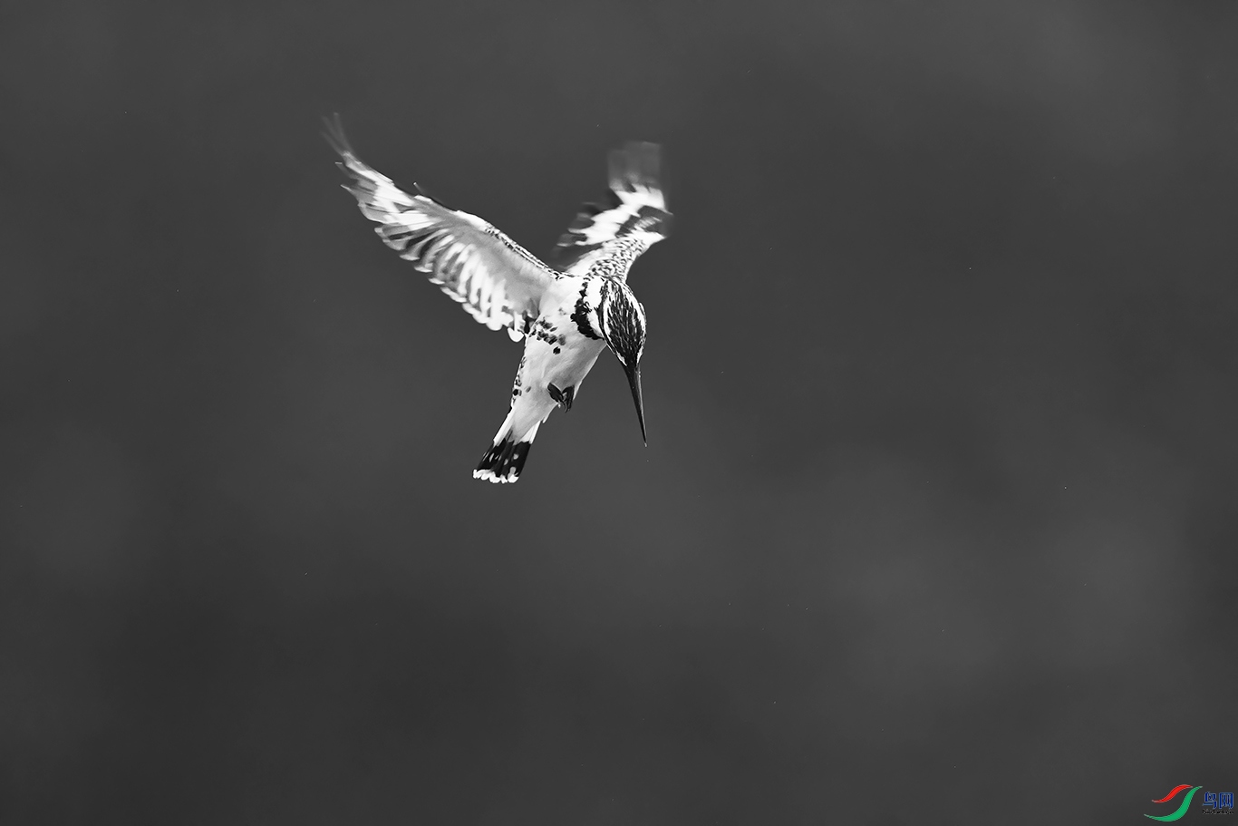 DSC_4967_DxOa.jpg