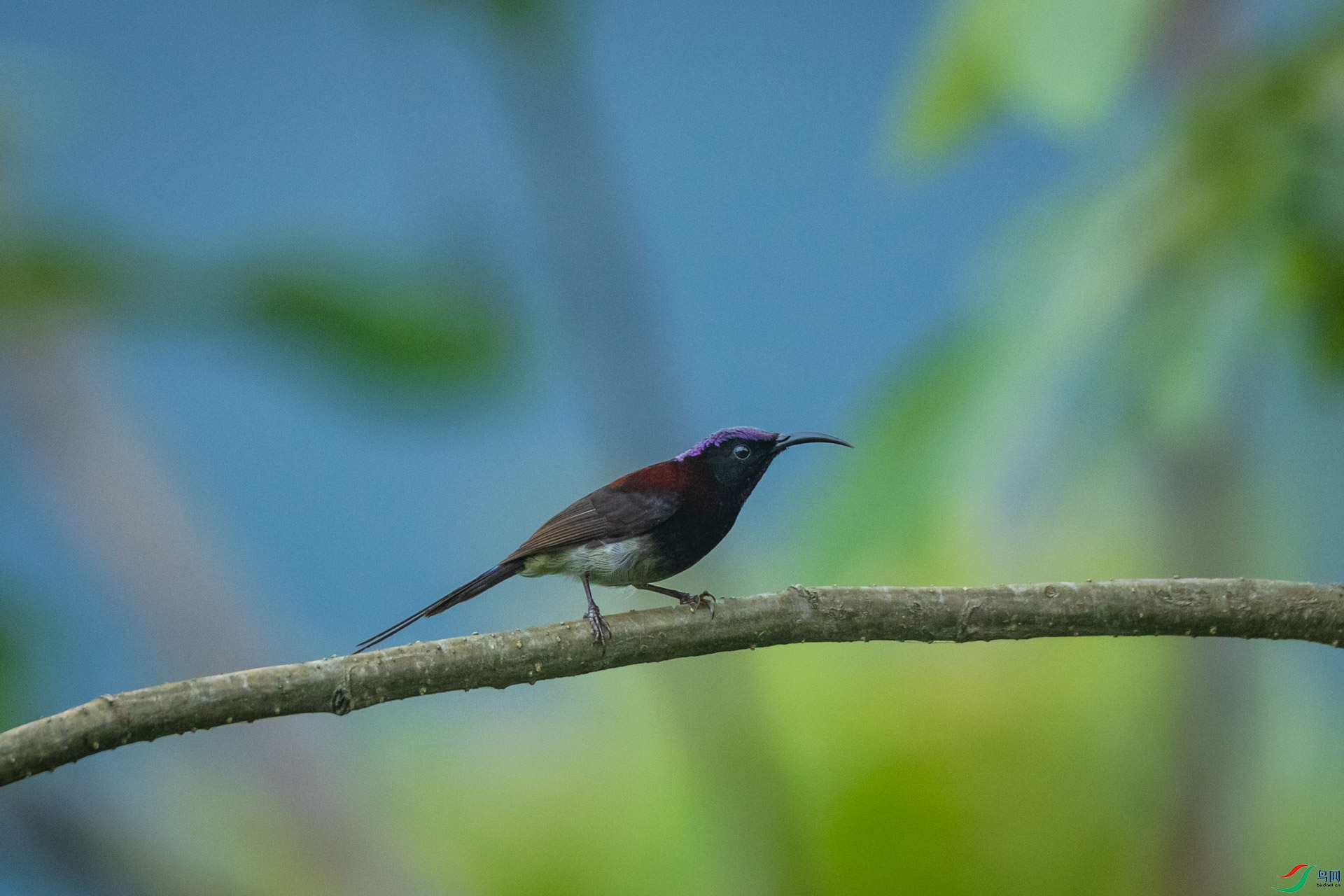 ����̫����