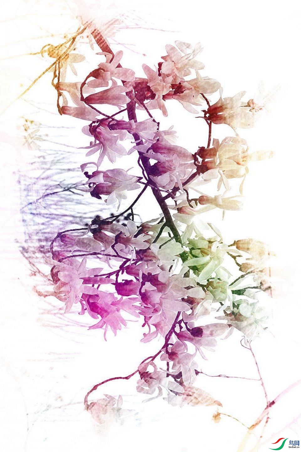 900 (76a)_����_����.jpg