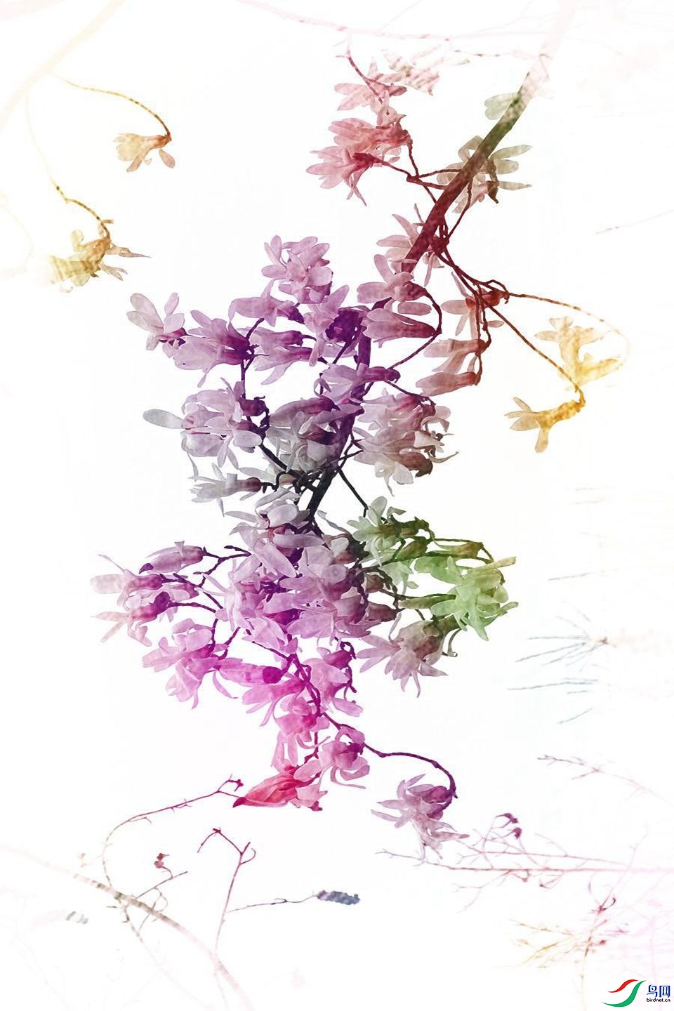 900 (76)_����.jpg