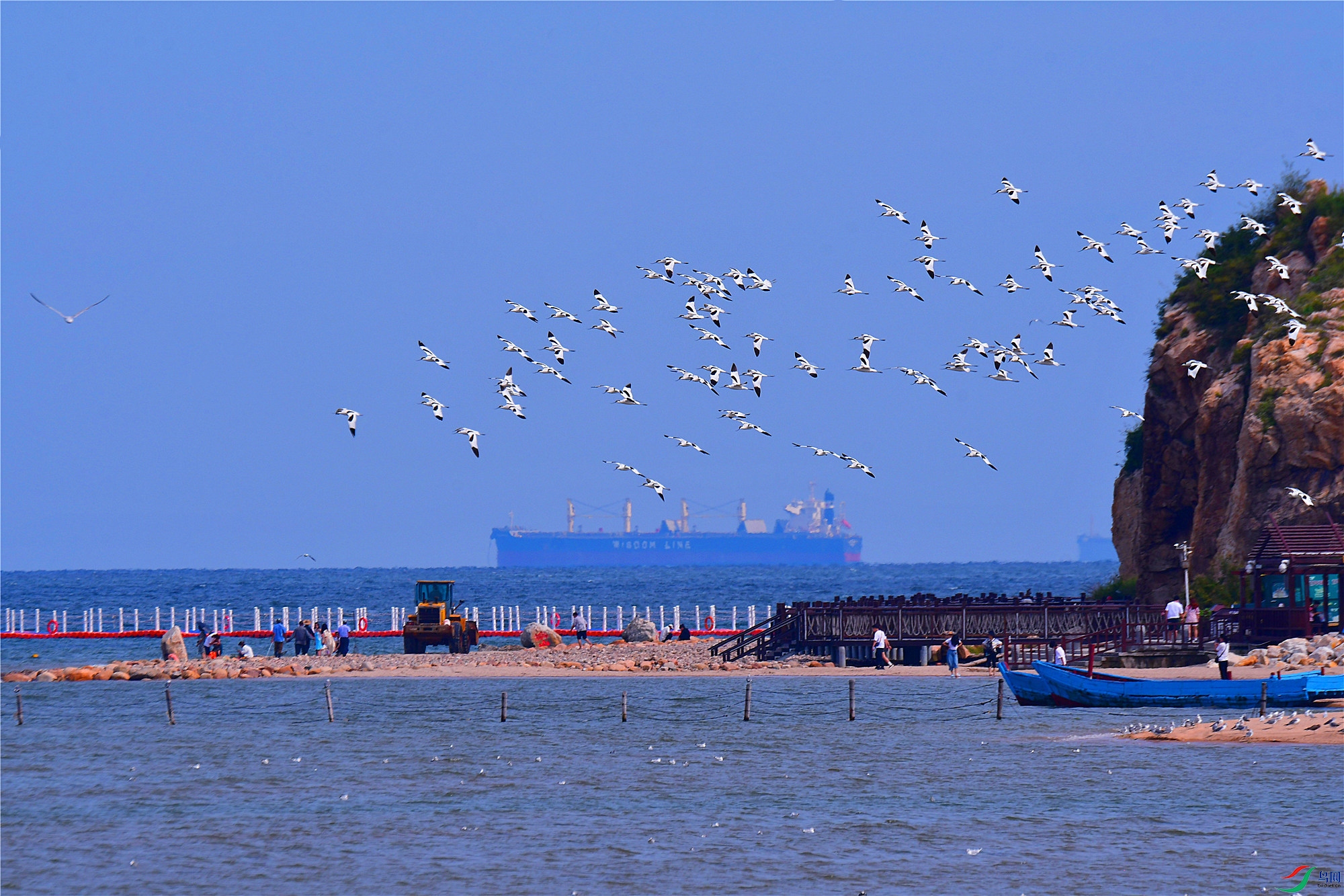 DSC_7339.JPG
