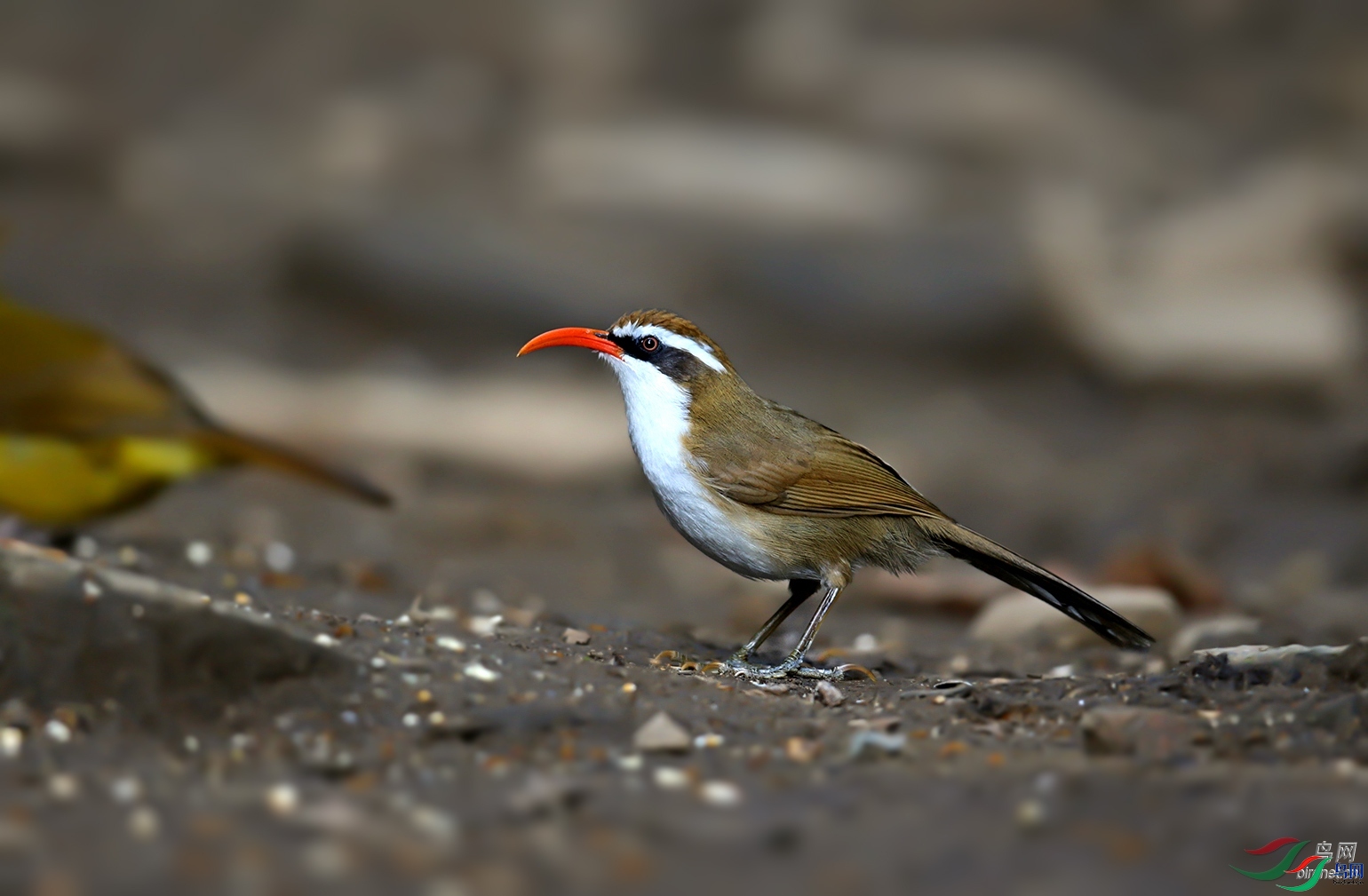 ����09  ��ʦ����������ʡ�º���徰����������ӯ����.jpg