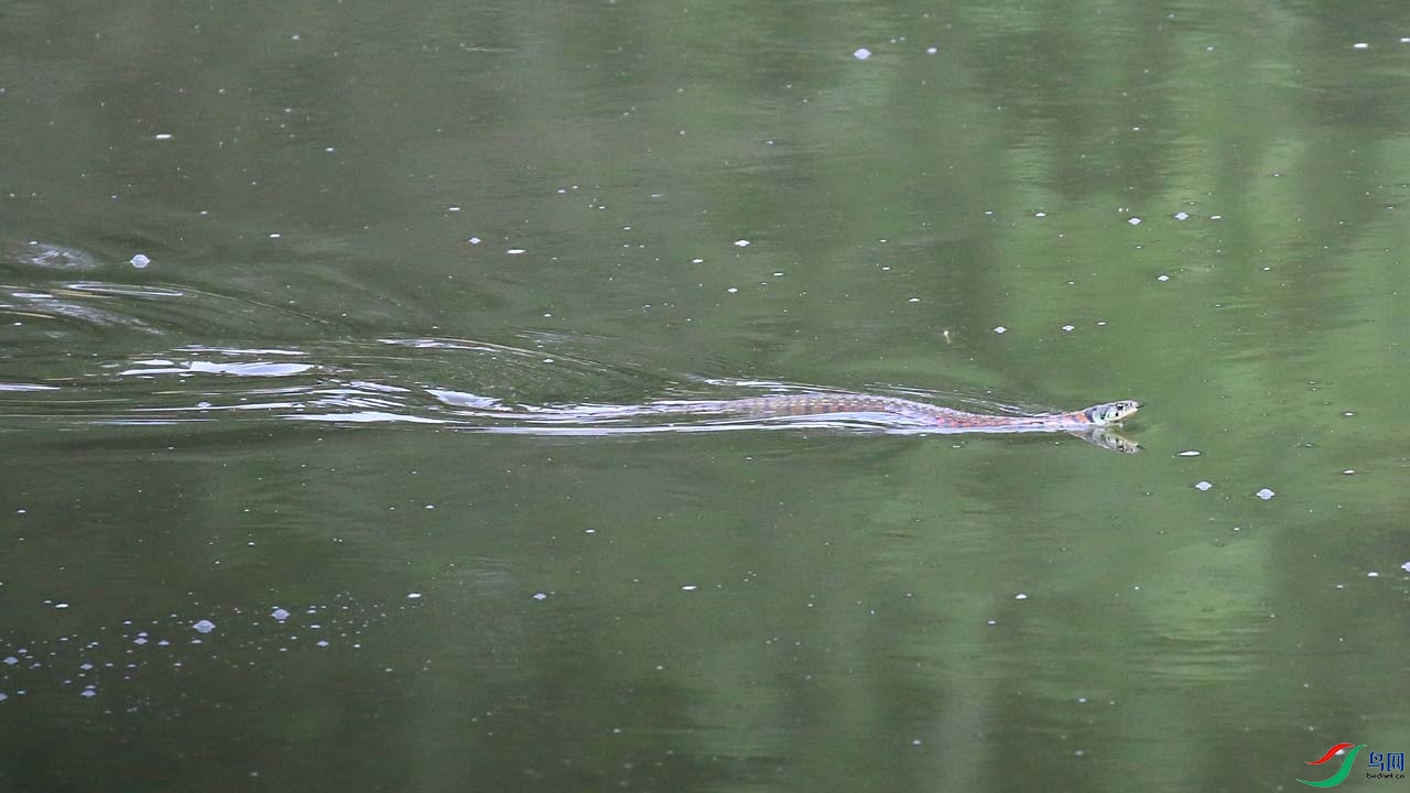 IMG_5292.JPG