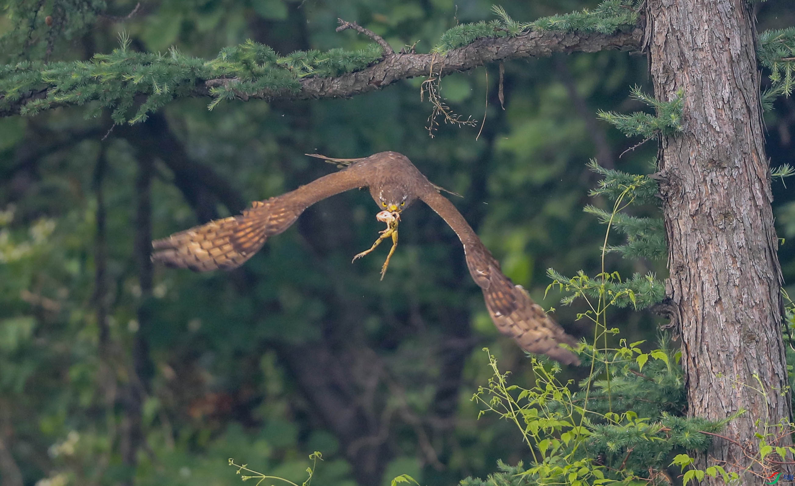 �����ǵ����