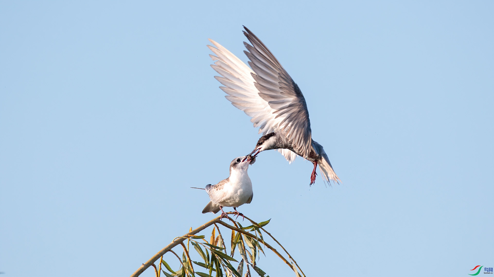 1DX_0007 ���� 2.jpg