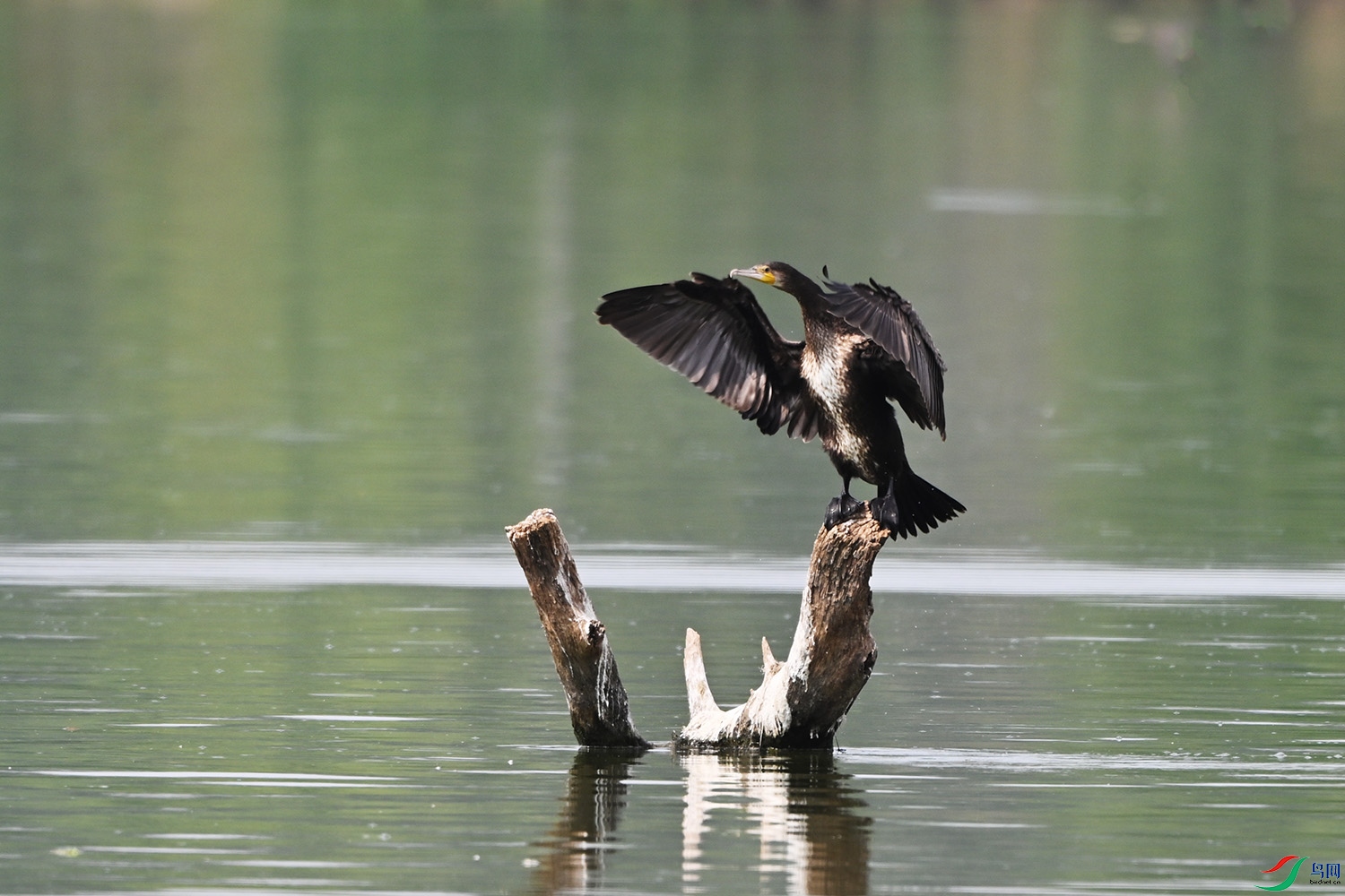 DSC_3502.jpg