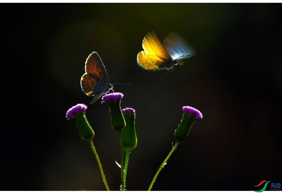 ���� (4).jpg